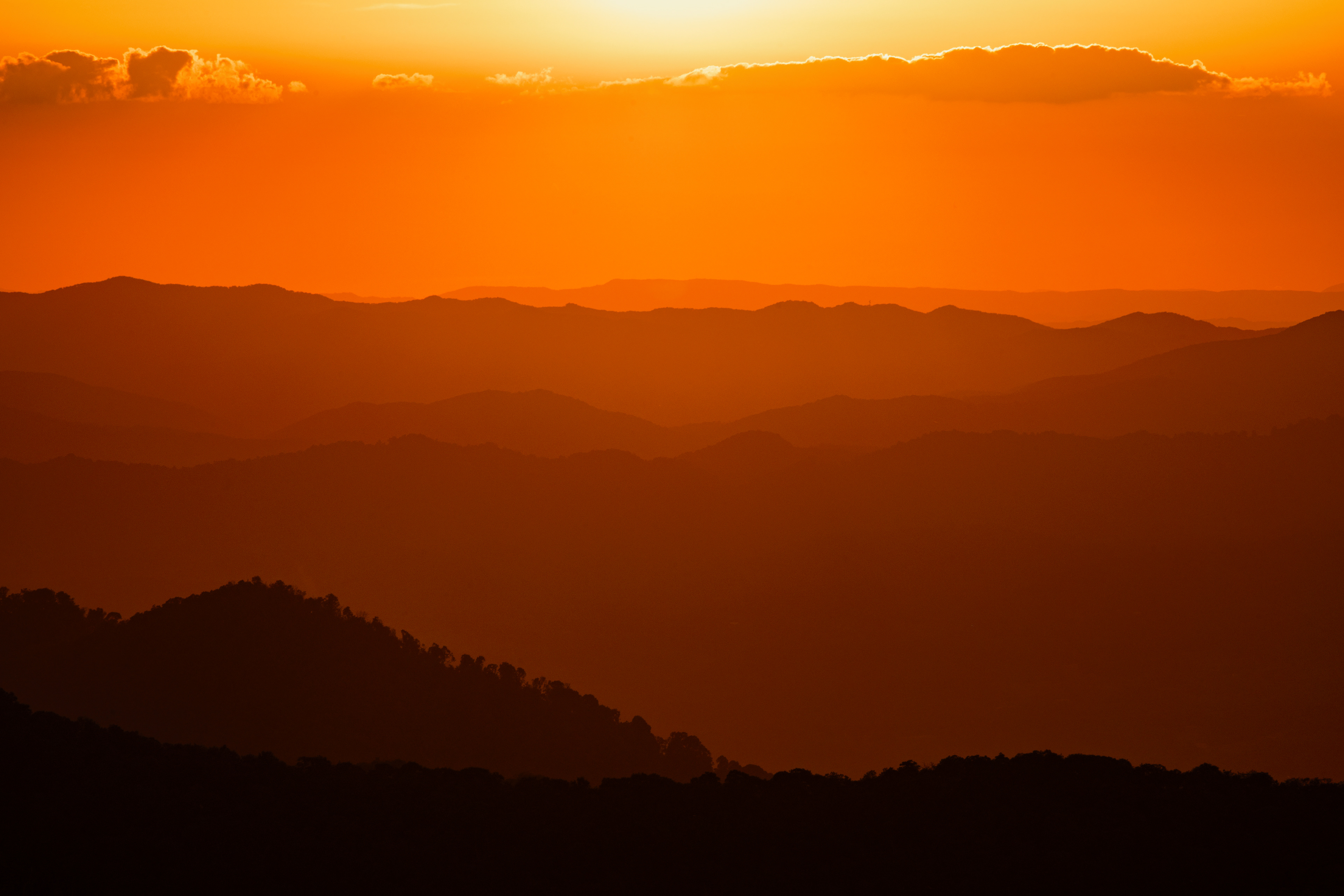 Craggy Gardens Blue Ridge Mtns