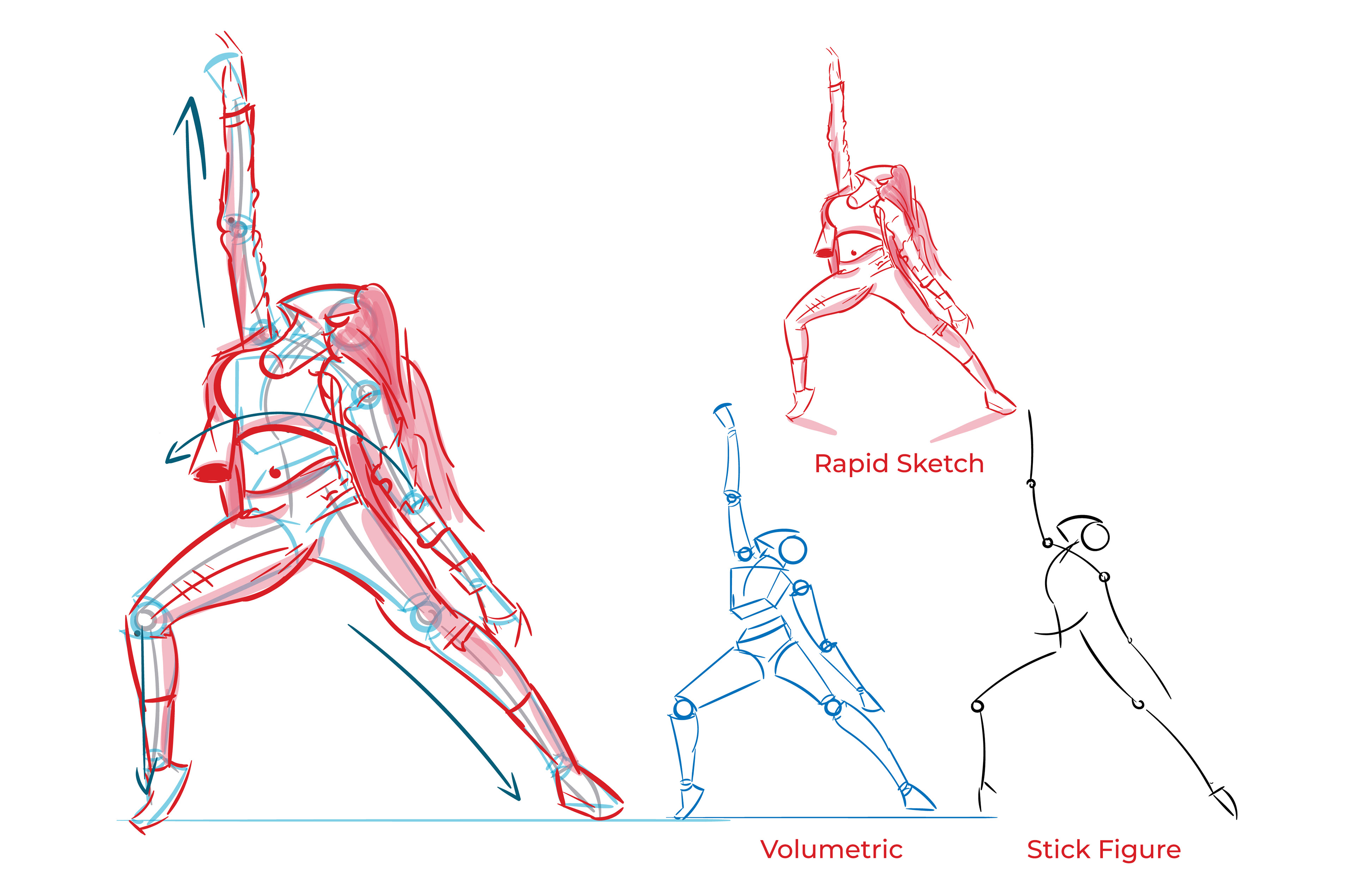 Figure drawing, Human figure drawing, Figure drawing reference