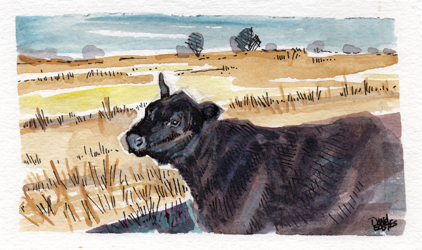 Sedgwick Co. watercolor, 5x7"