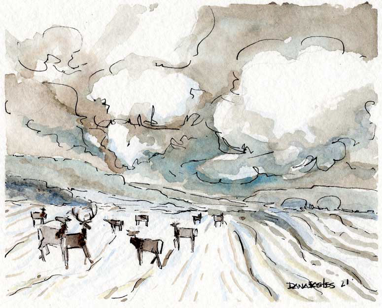 Ft. Riley Elk #2