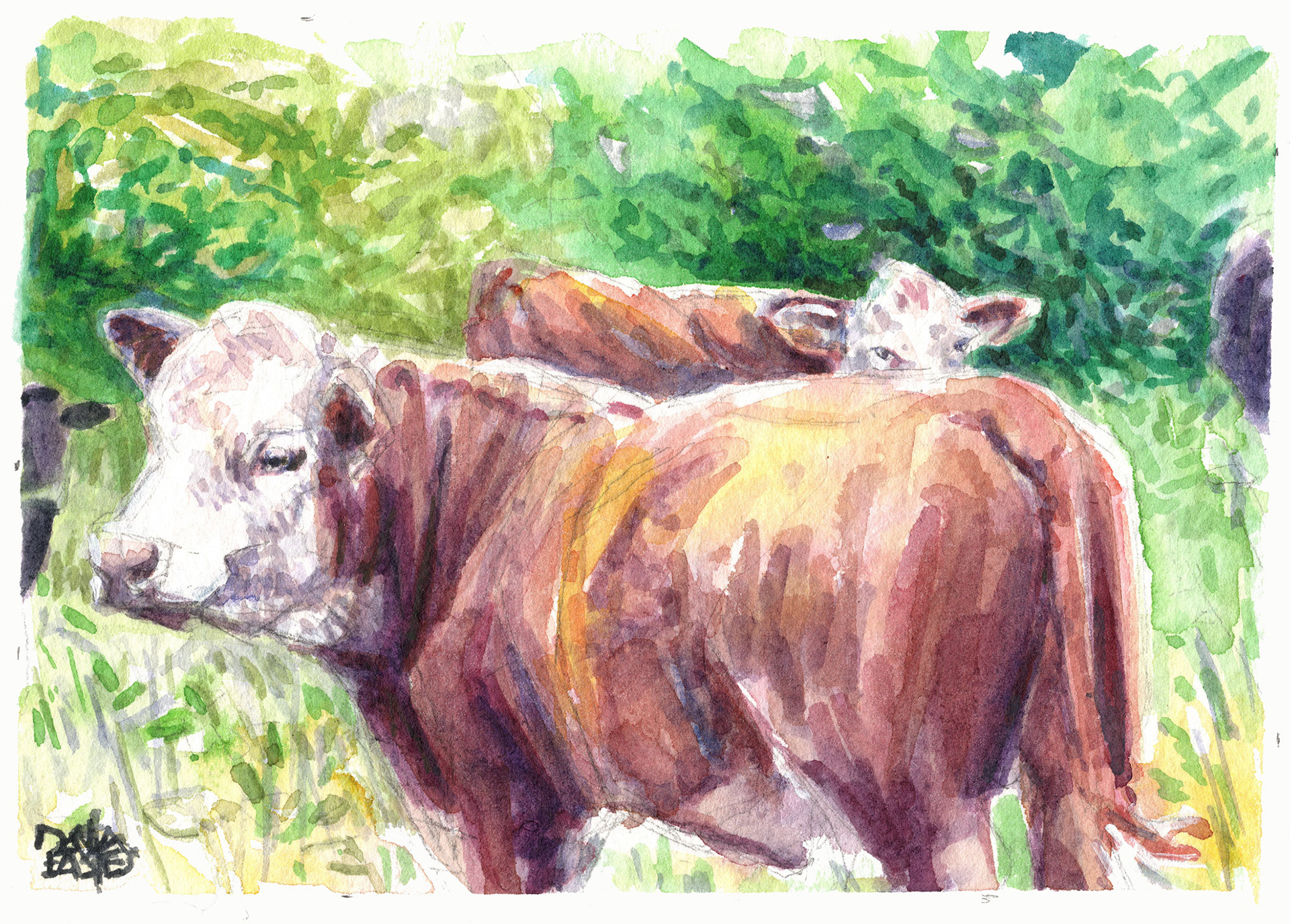 Summer Pastures, Watercolor 5.5x7.5"