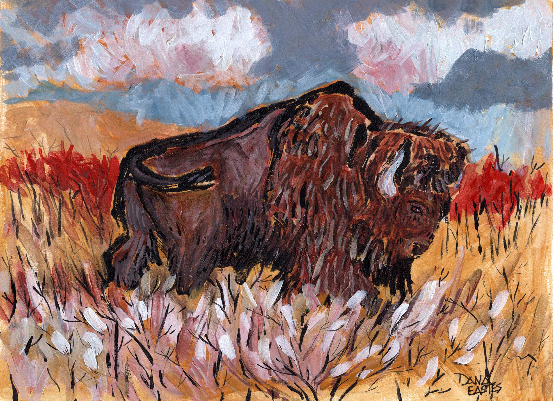Tallgrass Prairie Perserve Bison
