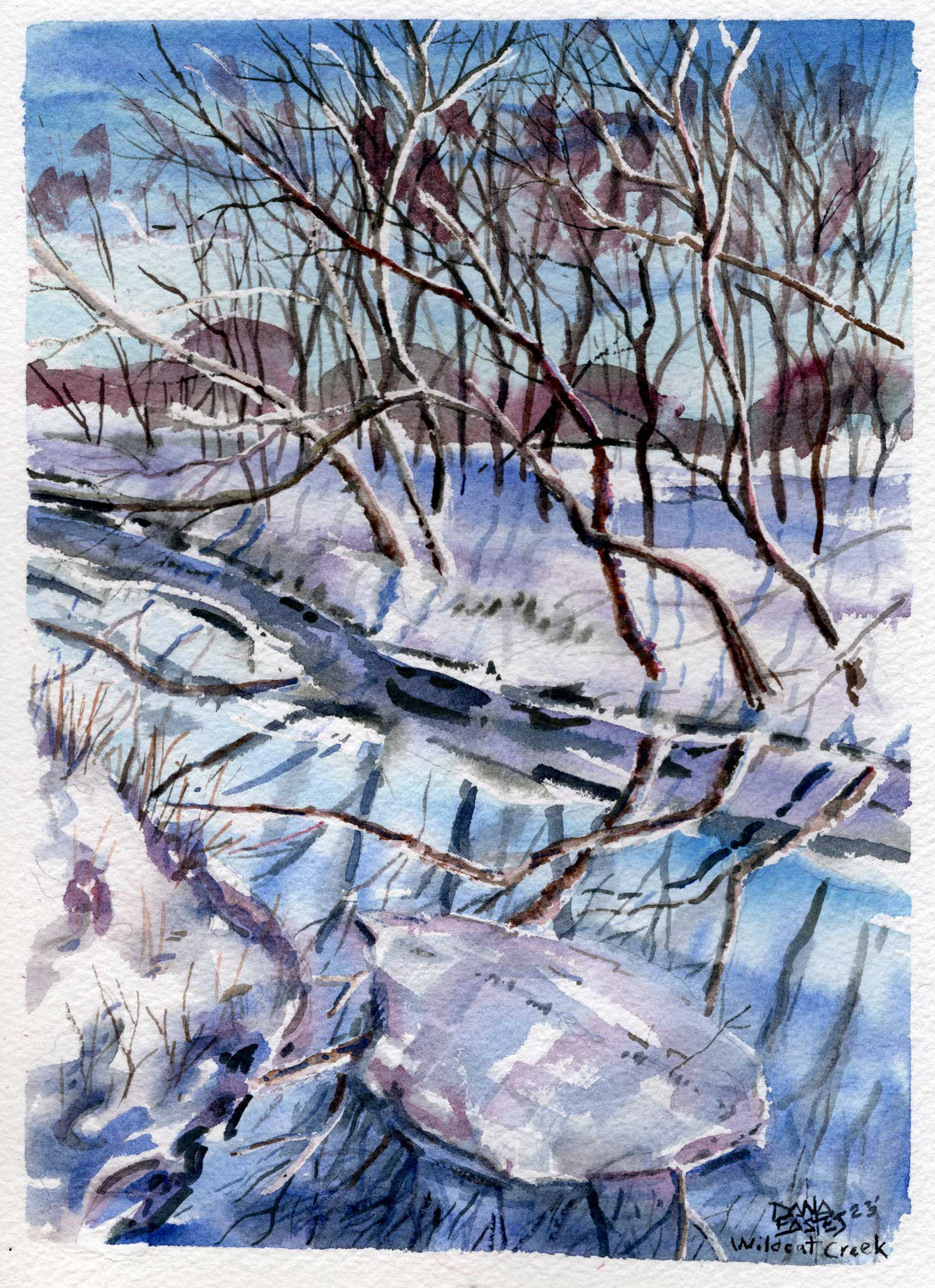 Winter on Wildcat Creek