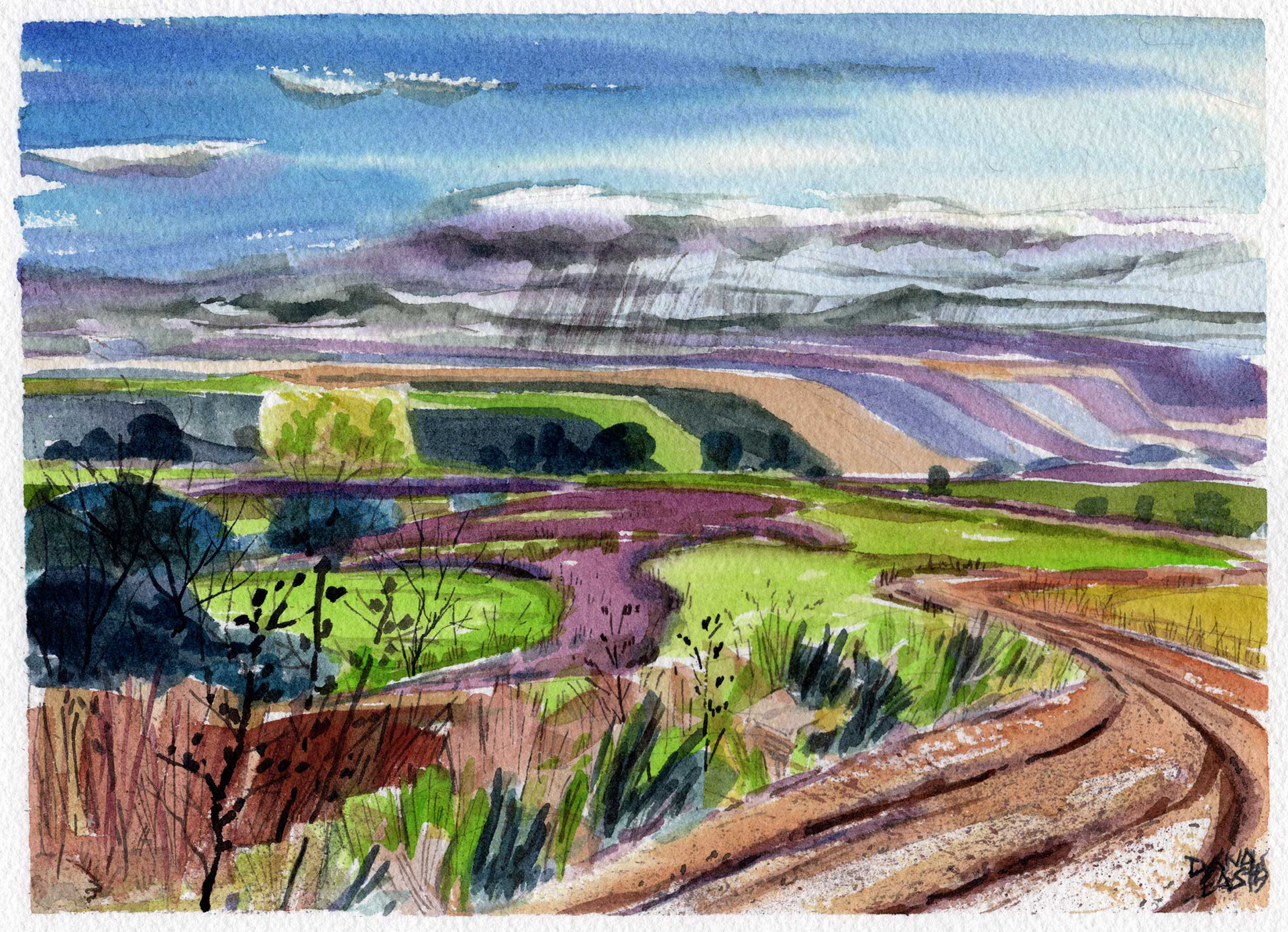 Rain Vista, 10x7.5