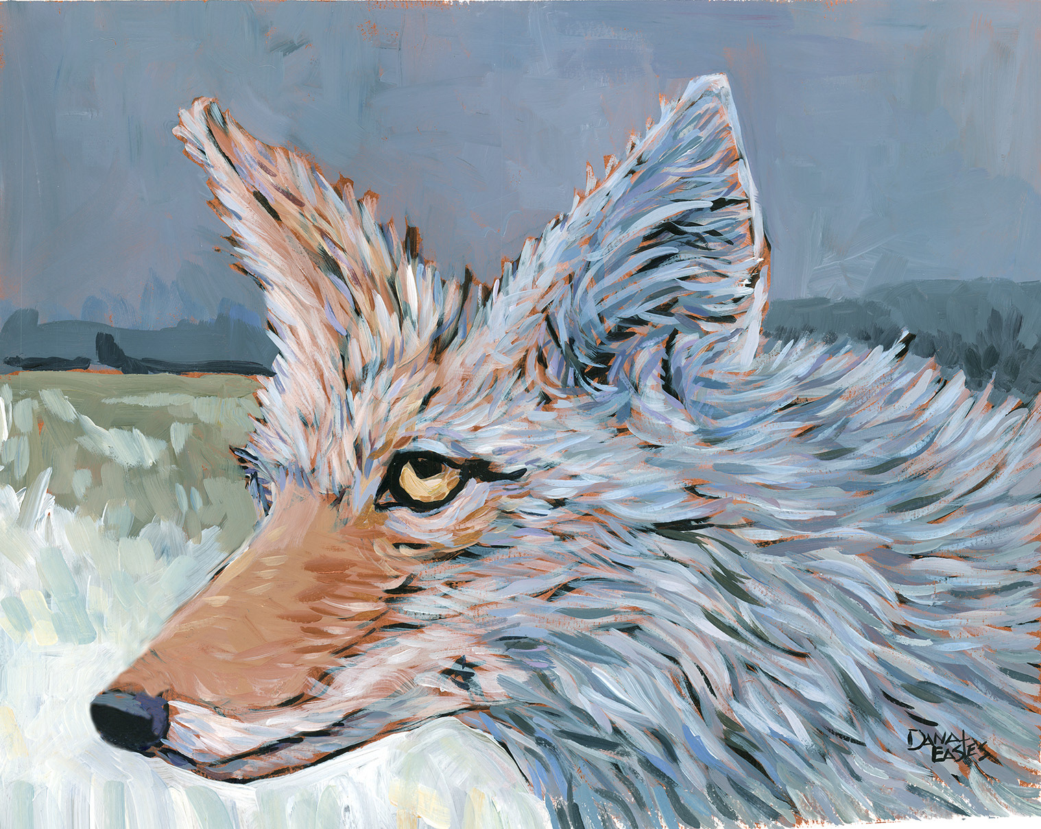 Coyote Confession, 20x16, acrylic/SOLD