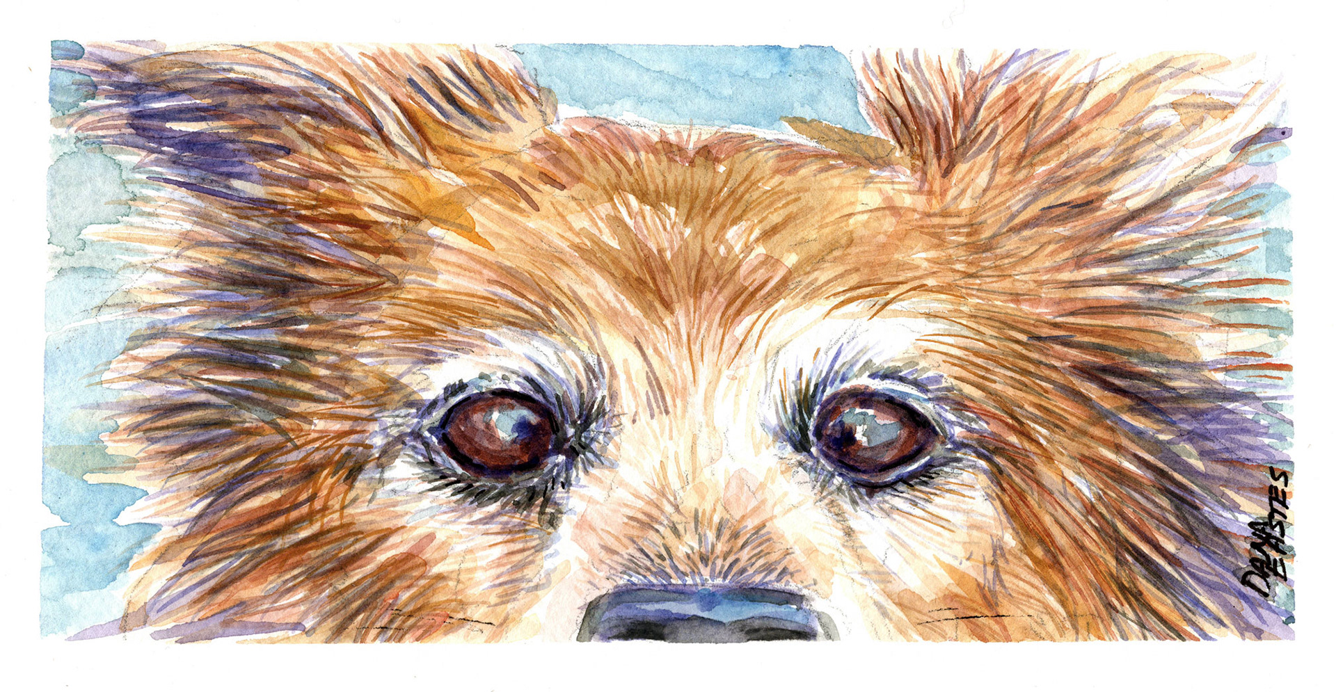 Old Pro, watercolor, NFS