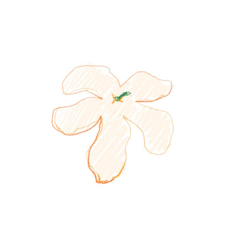  "이렇게 까먹은 말들은 어디로 갈까?"    18년 3월 3일에 했던 메모다. 친구와 얘기하다가 문득 떠오른 아이디어를 받아 적은 메모. 가끔씩 어떠한 생각들이 내 머릿속 안에서 자리를 비울 때, 그 행방은? 이라는 귀여운 이야기다.  그리고 이 이야기를 나눈 친구가 누군지 잘 기억이 나지 않는다.  이렇게 까먹은 기억은 어디로 갈까.