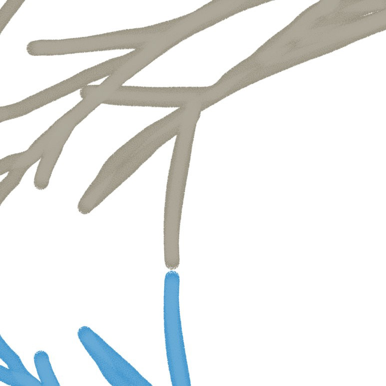 어제 비는 나무가 가리고  오늘 비는 나무가 나린다.  ​