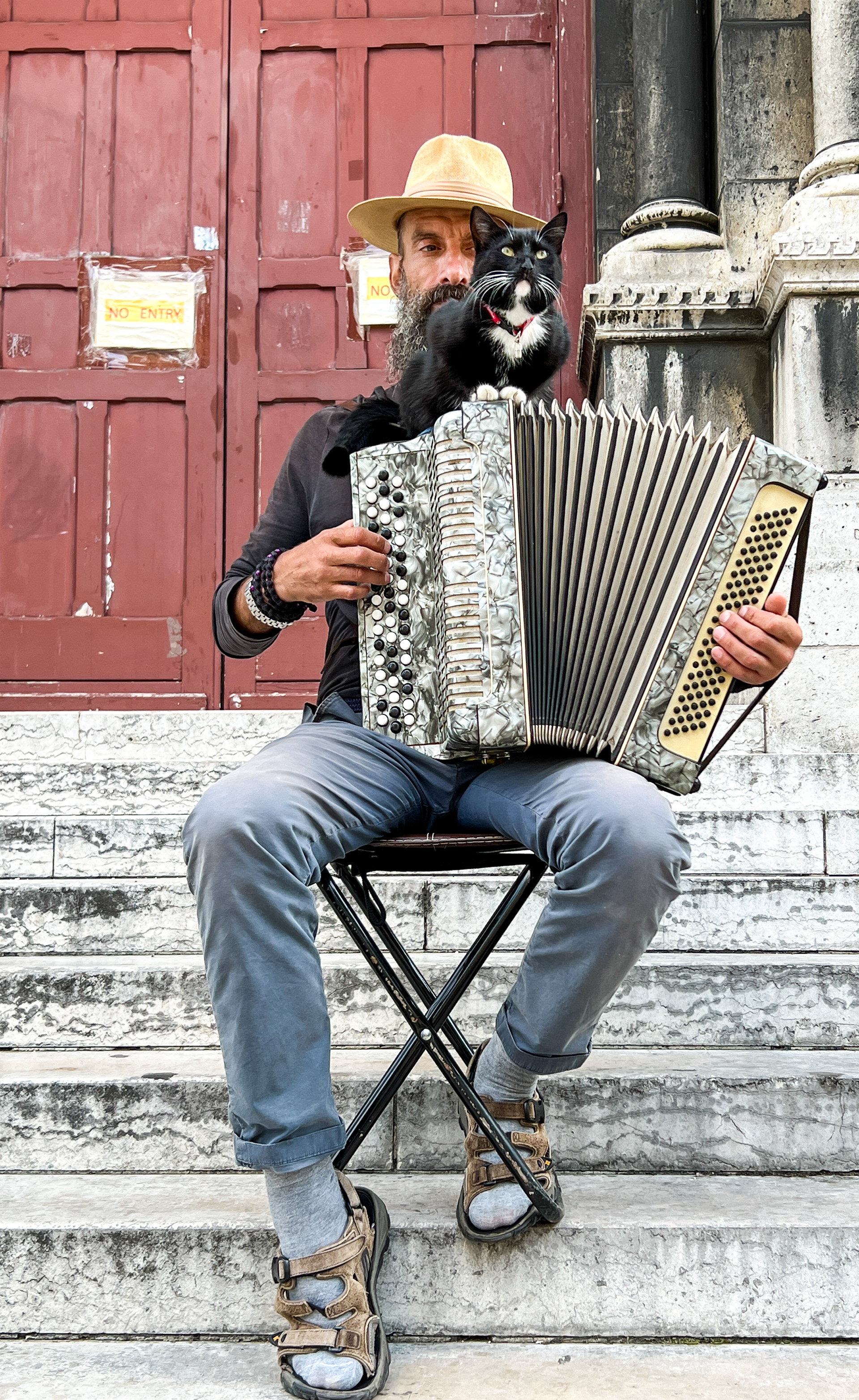 Montmartre- Happy Cat!