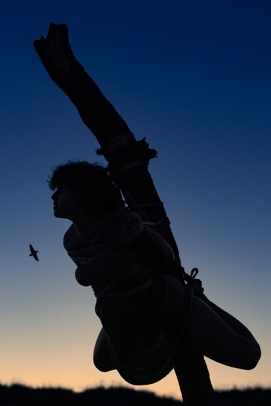 Ropes by Galaad Shibari, picture by Charly Meunier. Eloa and Amachouille as assistants