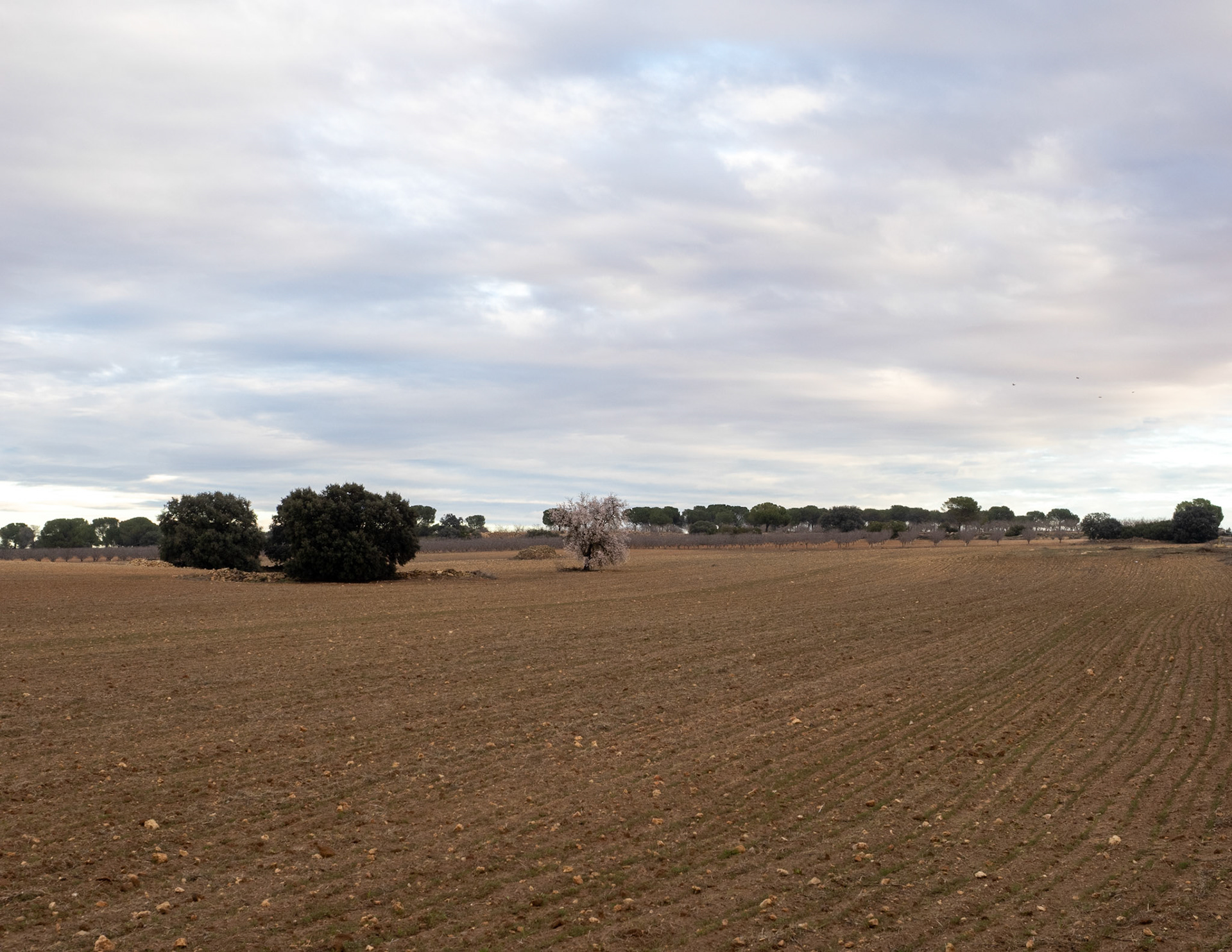 Castilla-La Mancha