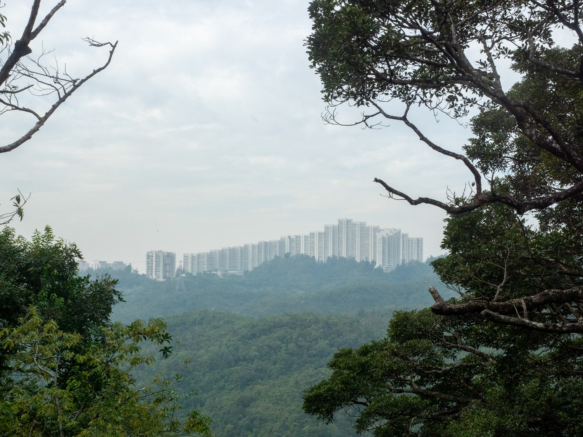 maclehose trail