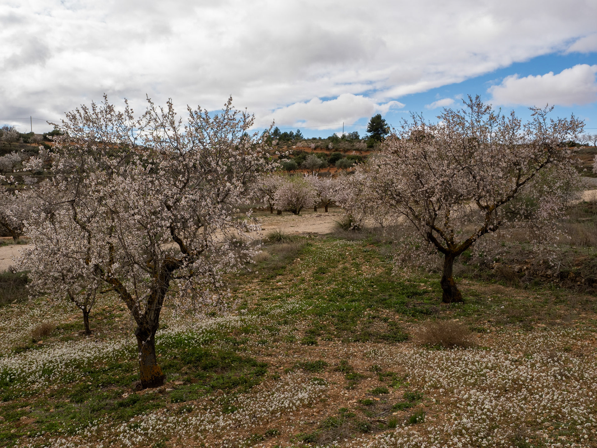 Castilla-La Mancha