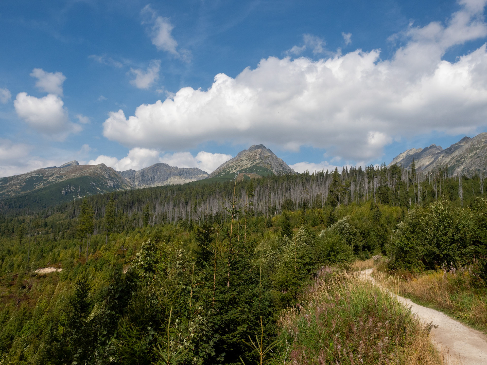 high tatra