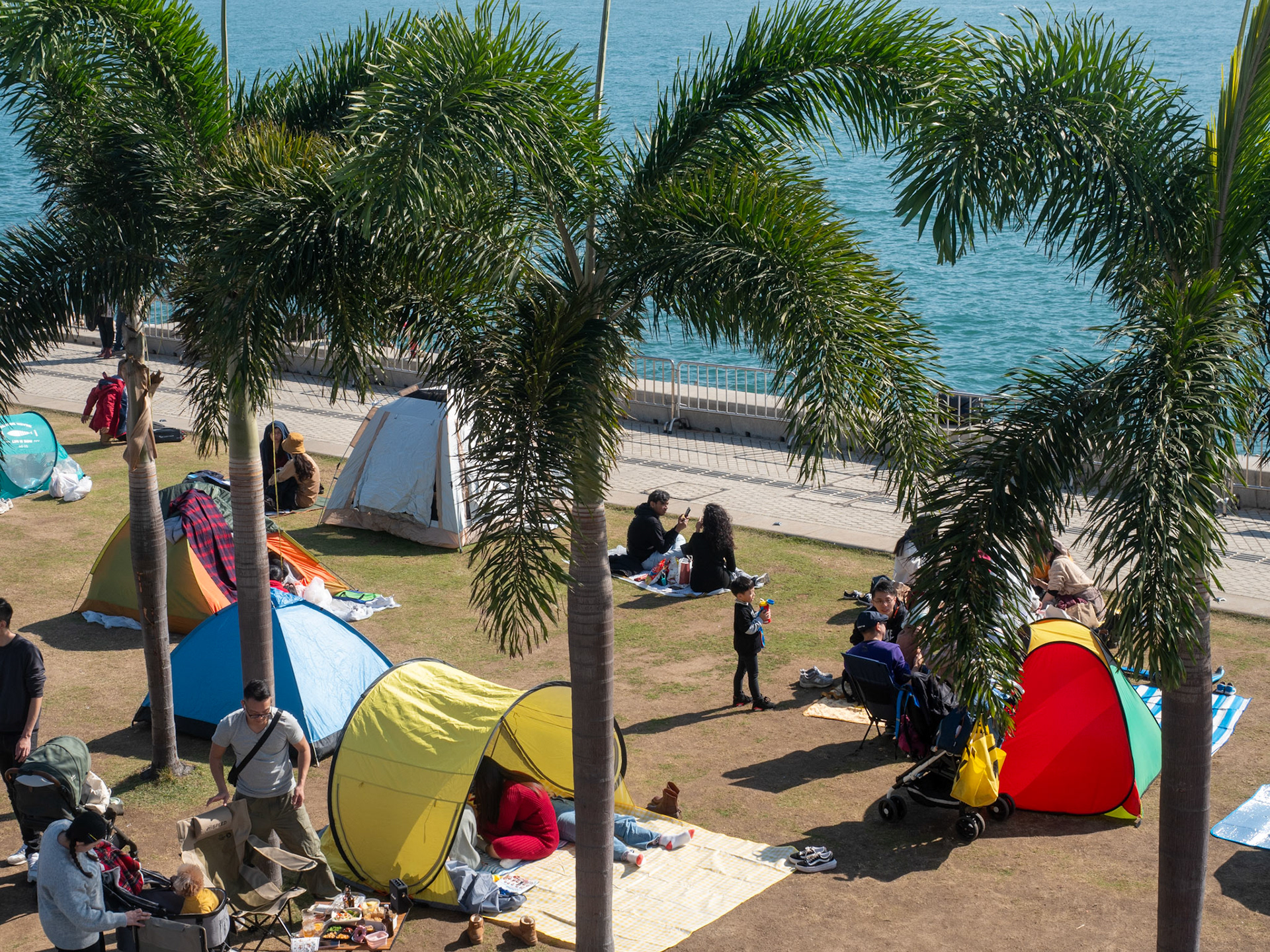 kowloon cultural district