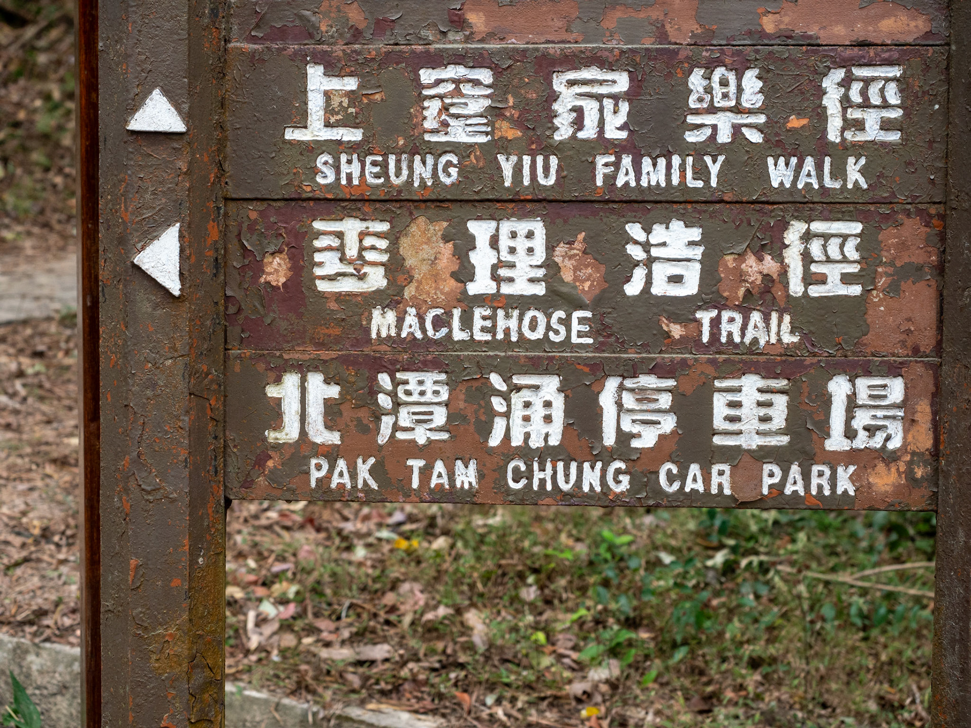 maclehose trail