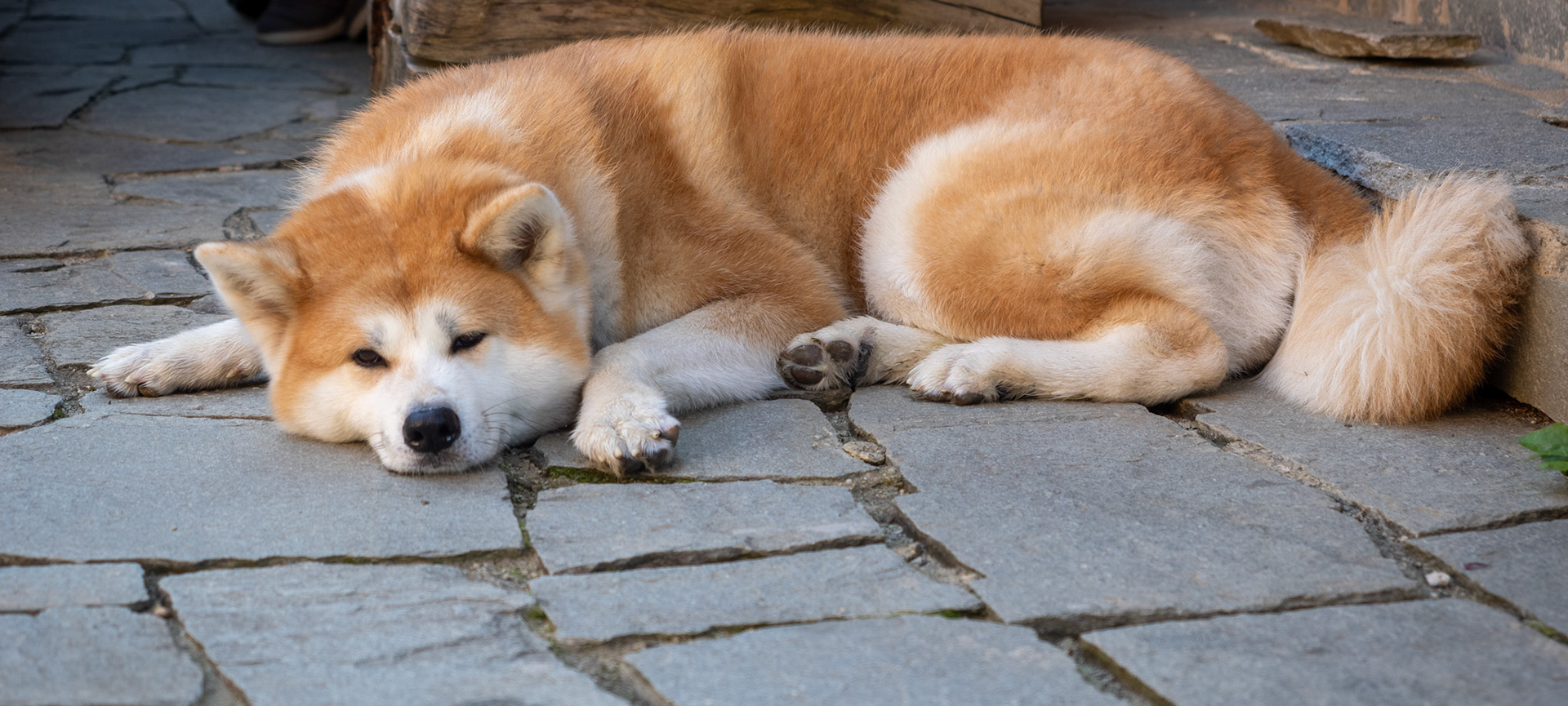 VT Foundation kilometer 0