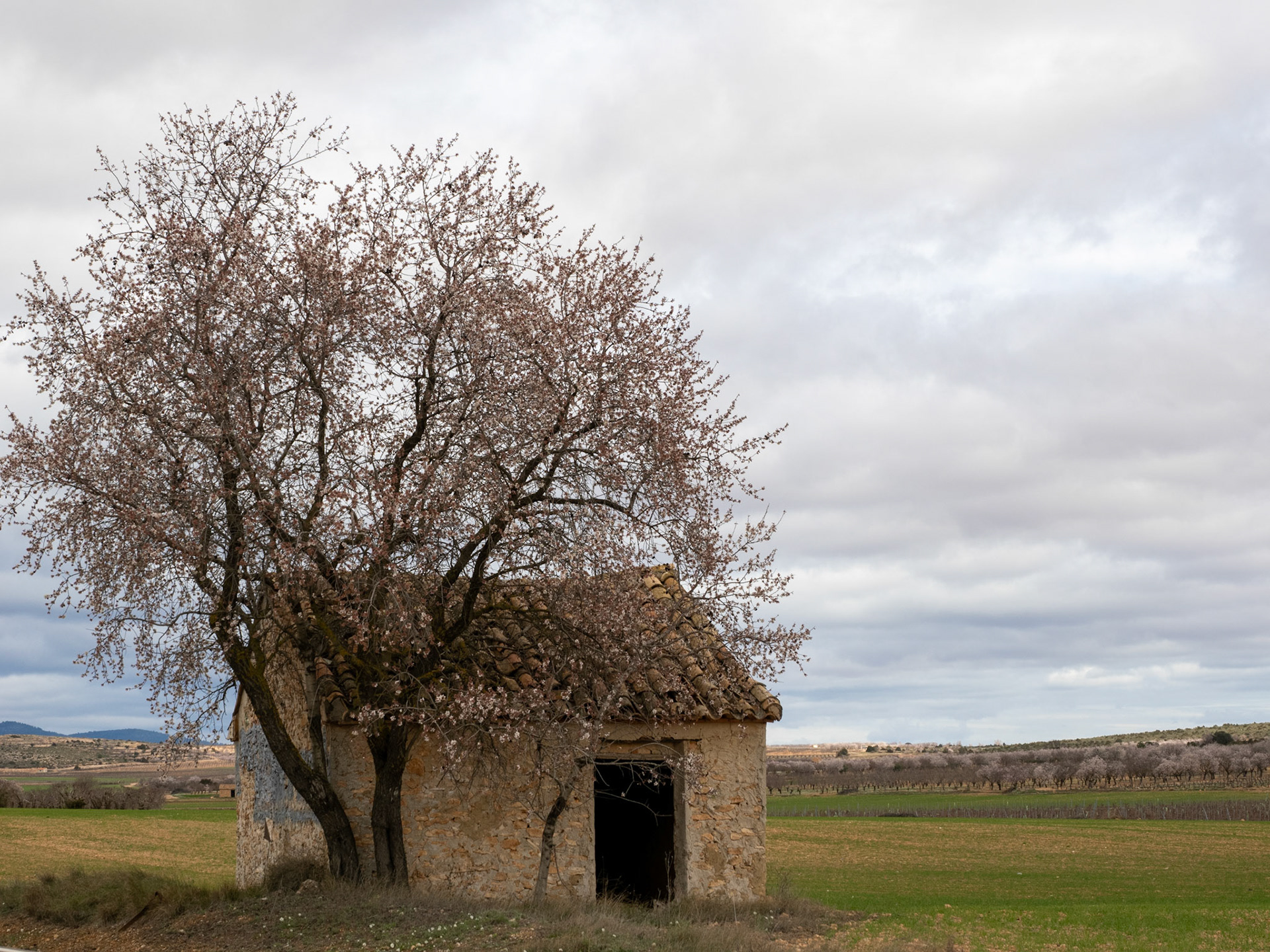 Castilla-La Mancha