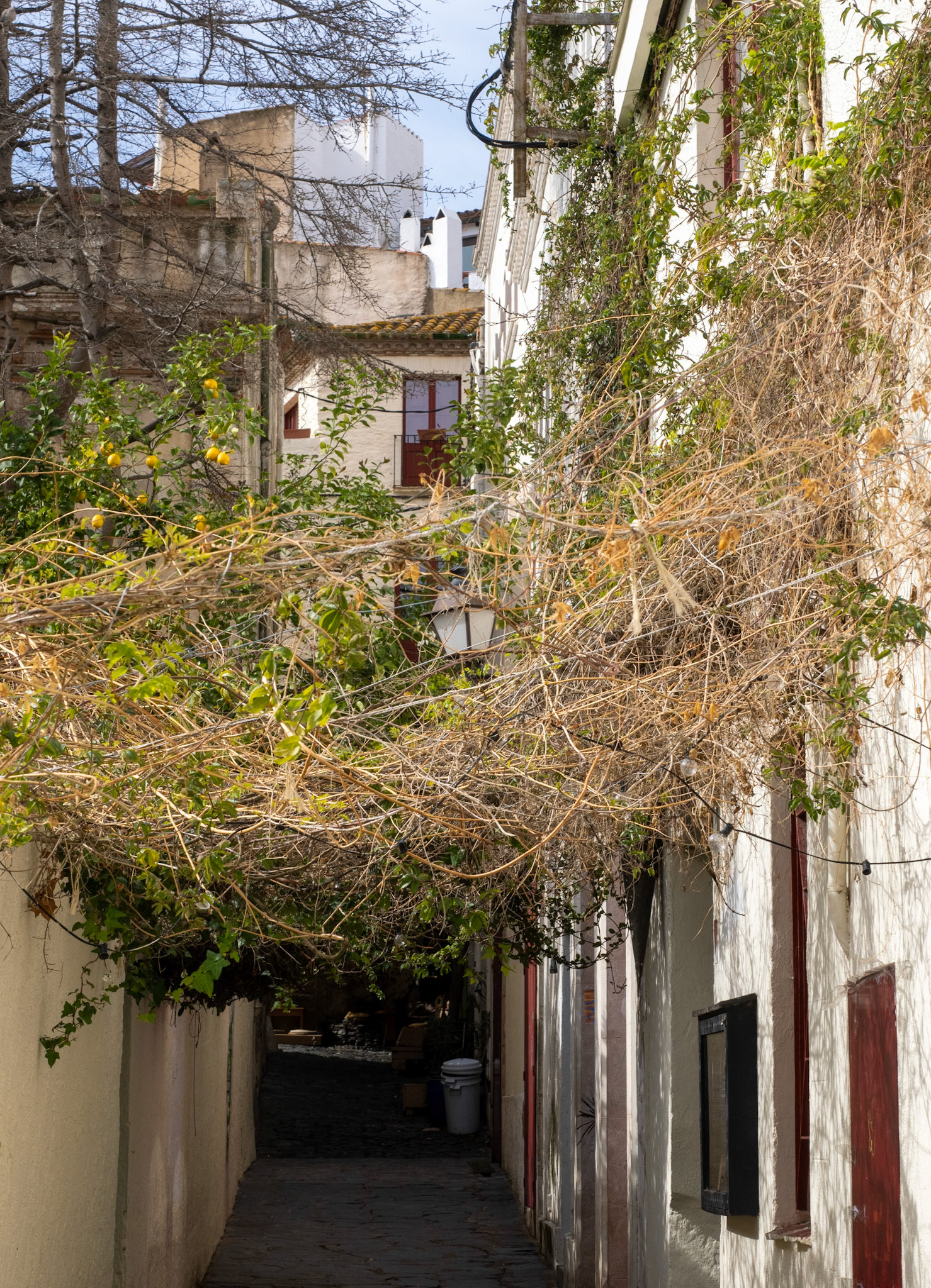 Cadaques