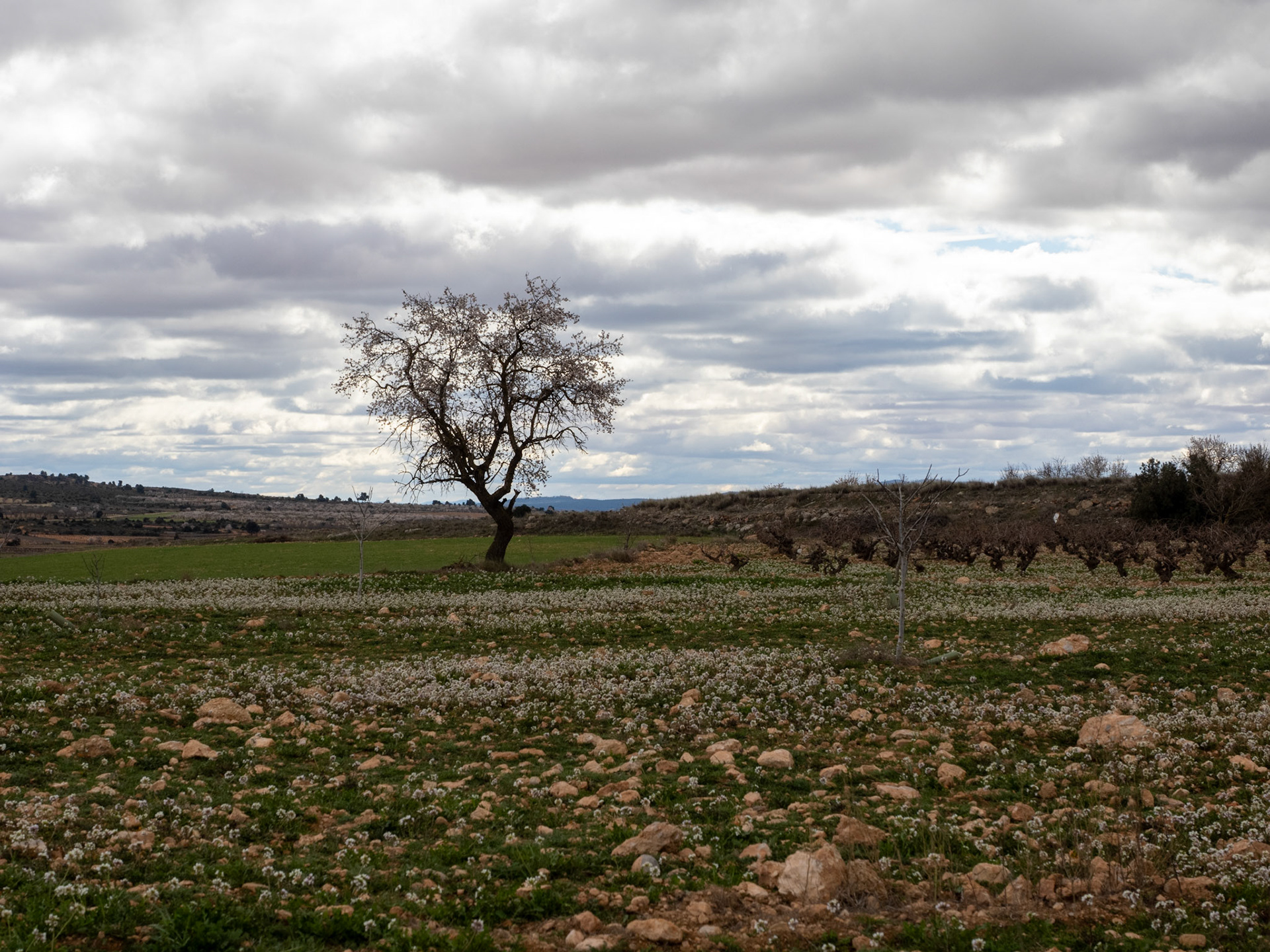 Castilla-La Mancha