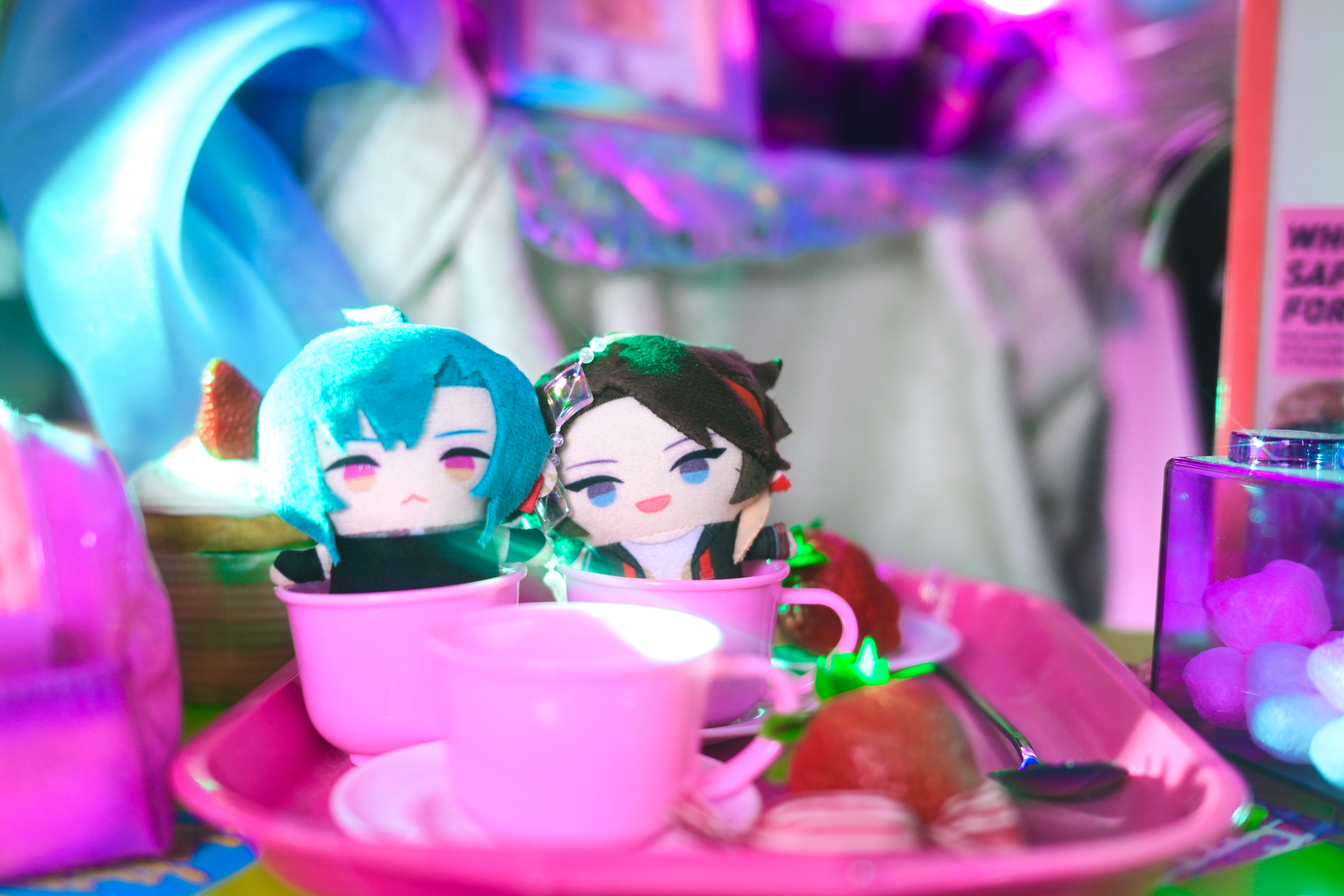 ぬいぐるみ撮影