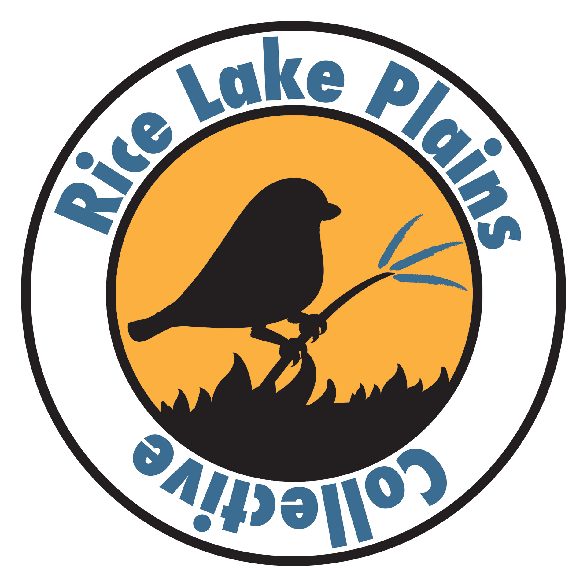 Savannah sparrow/blue stem/prescribed burn badge design