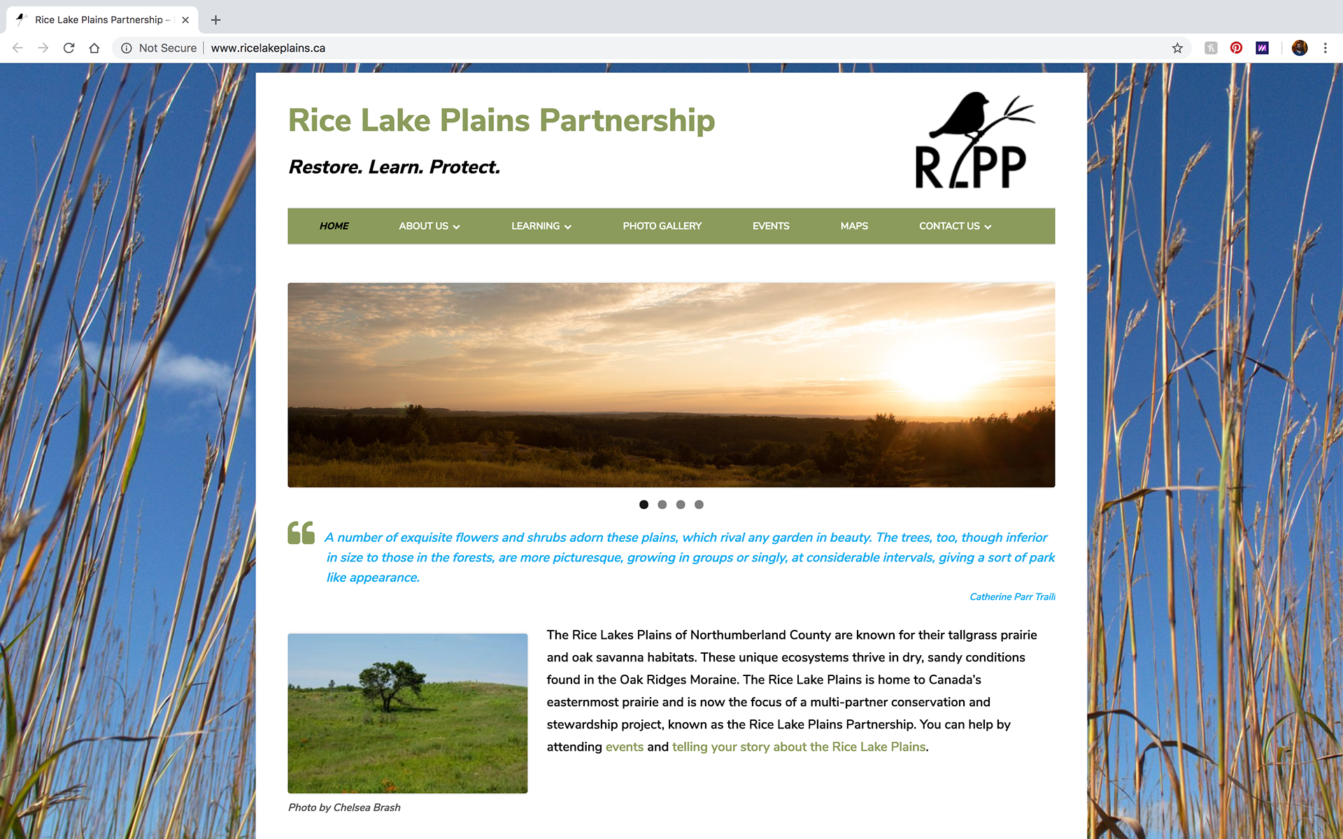 Rice Lake Plains Partnership website