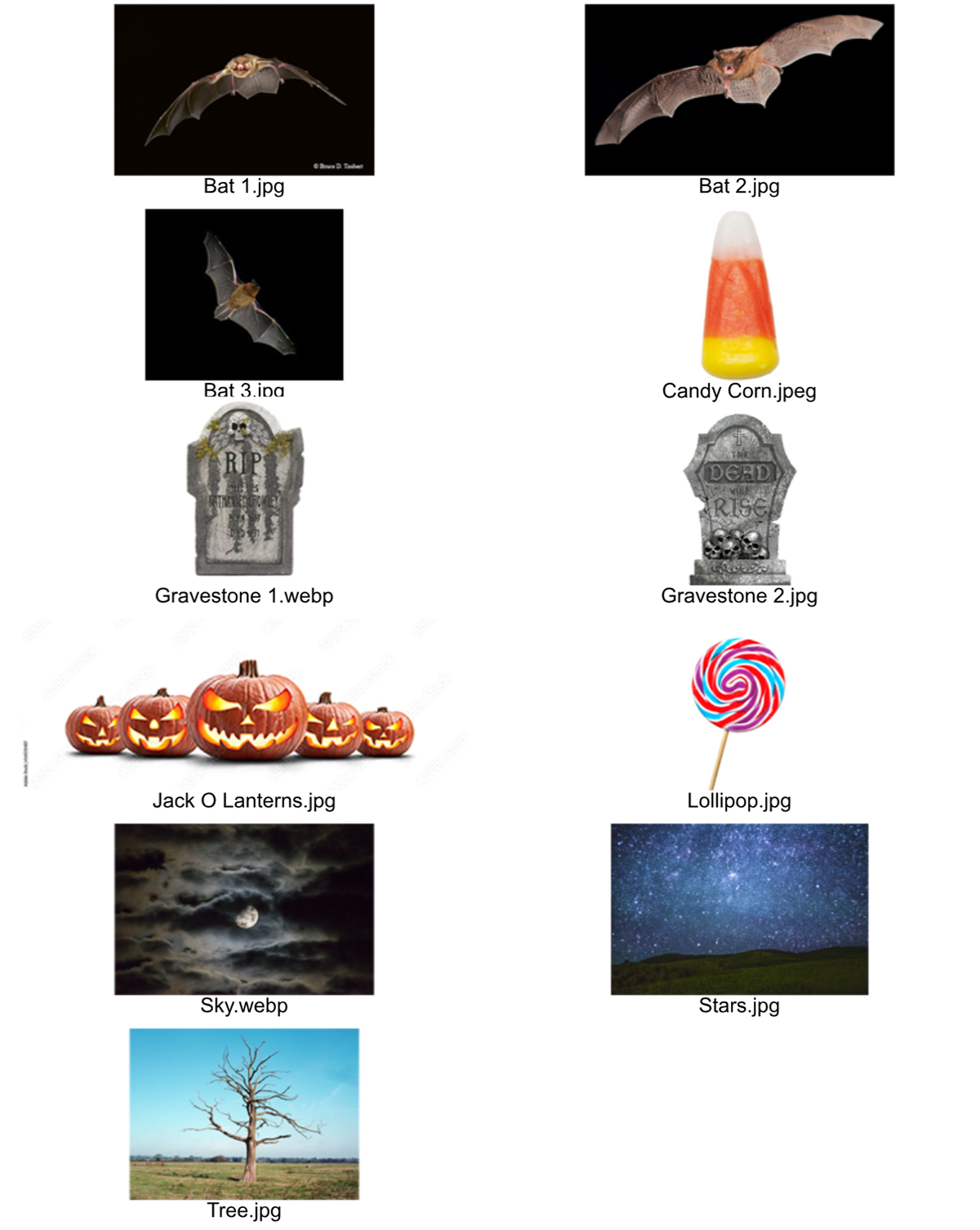 Step 2: Gather Images