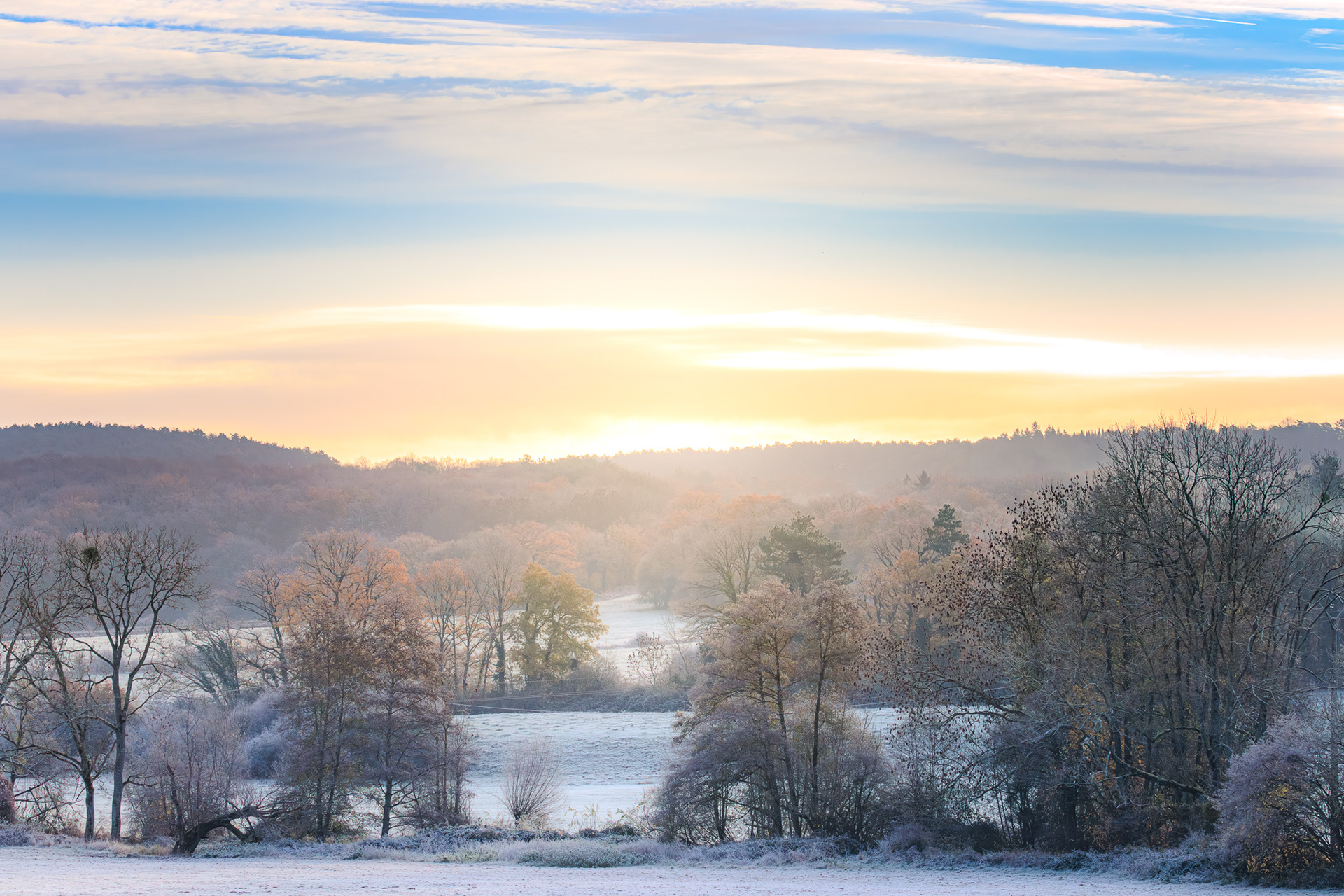 natuurfotografie-landschap-Revogne