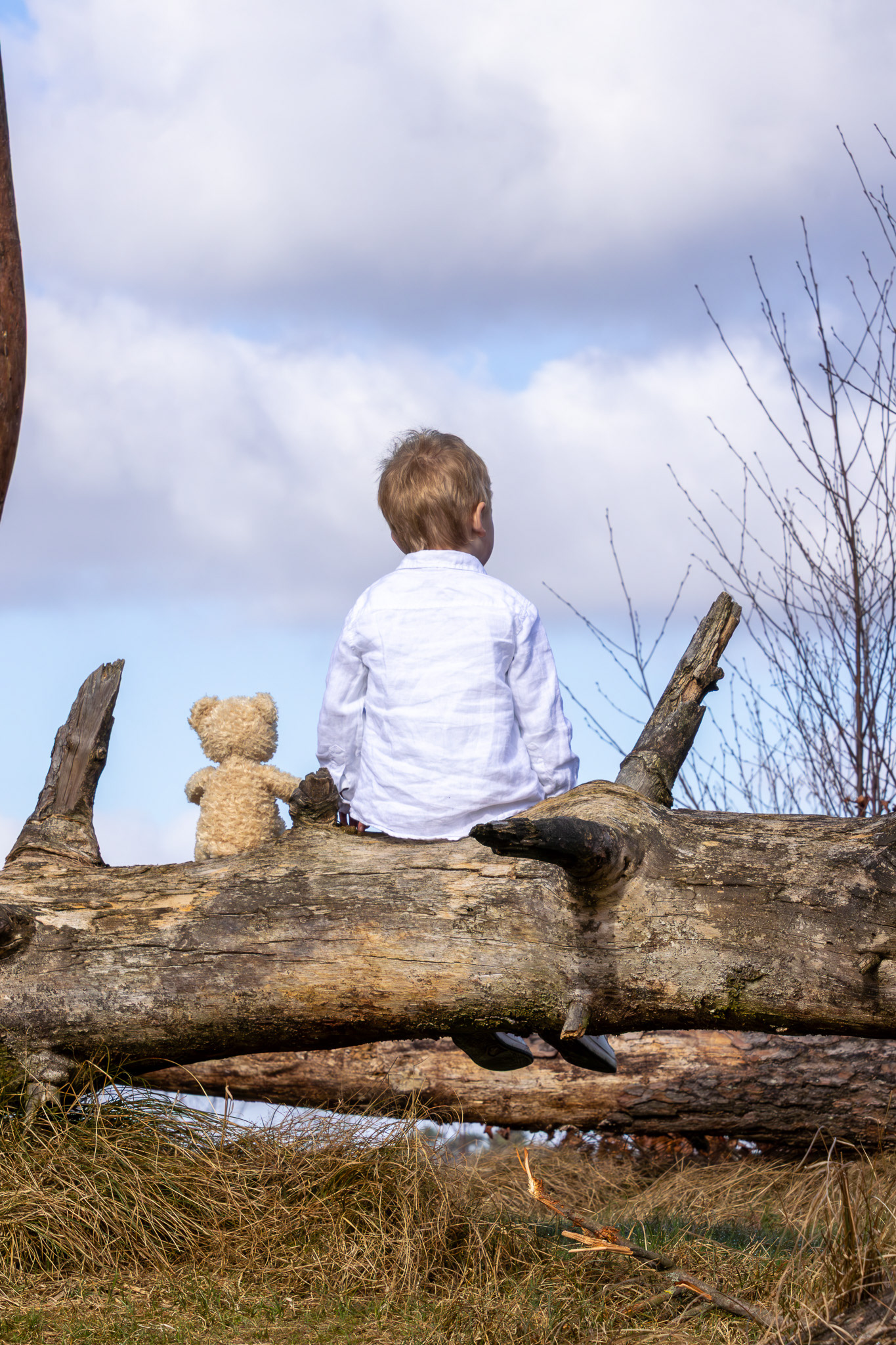 Familiefotoshoot in de natuur – Shana en Odin in Stappersven, Kalmthout