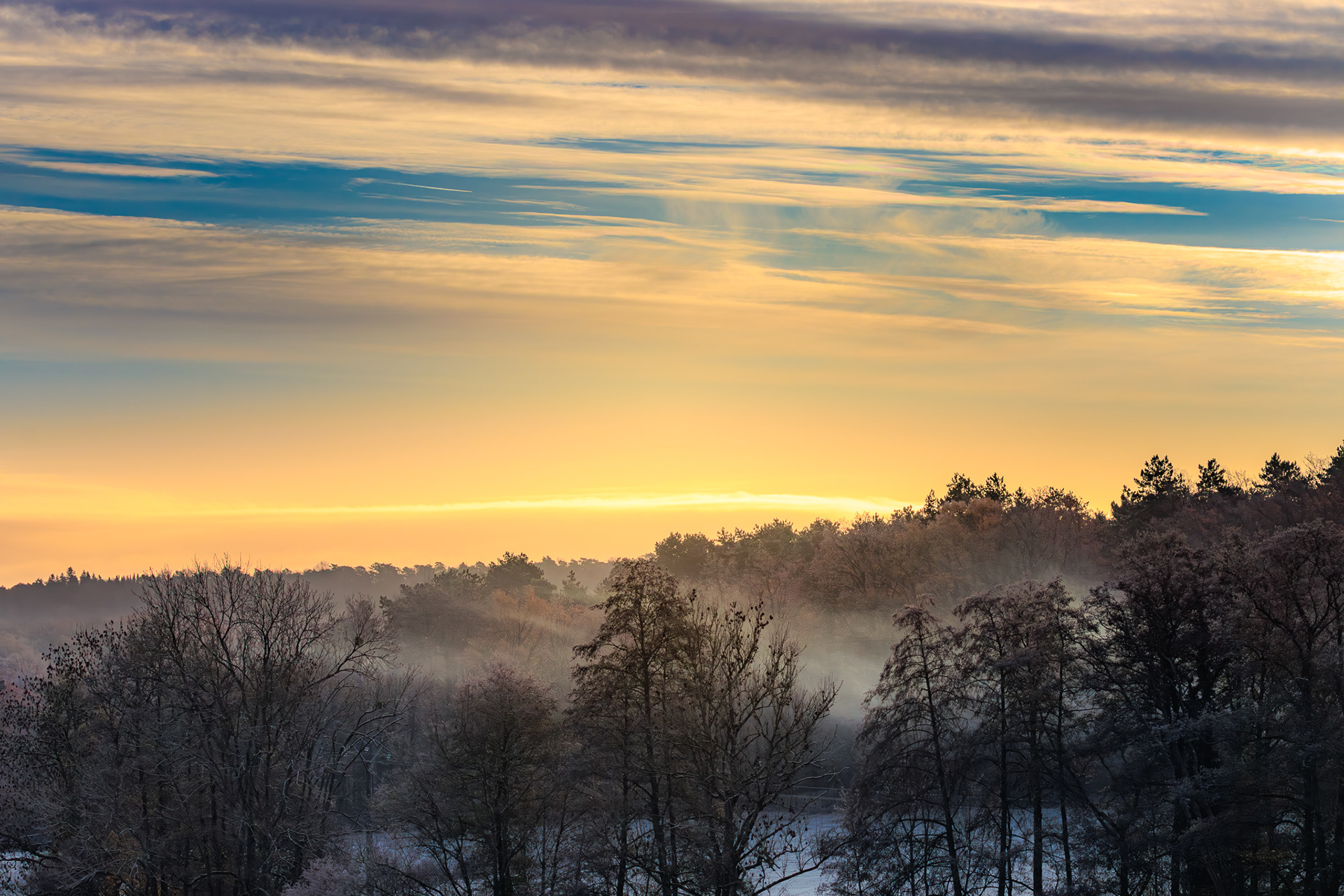natuurfotografie-landschap-Revogne