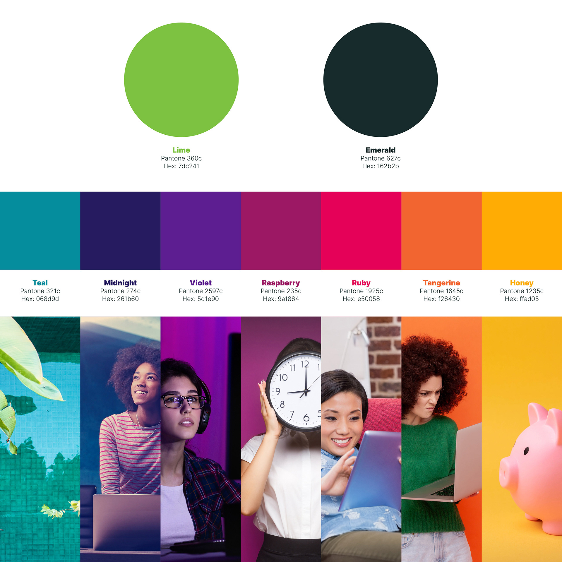Primary and secondary palettes with example images