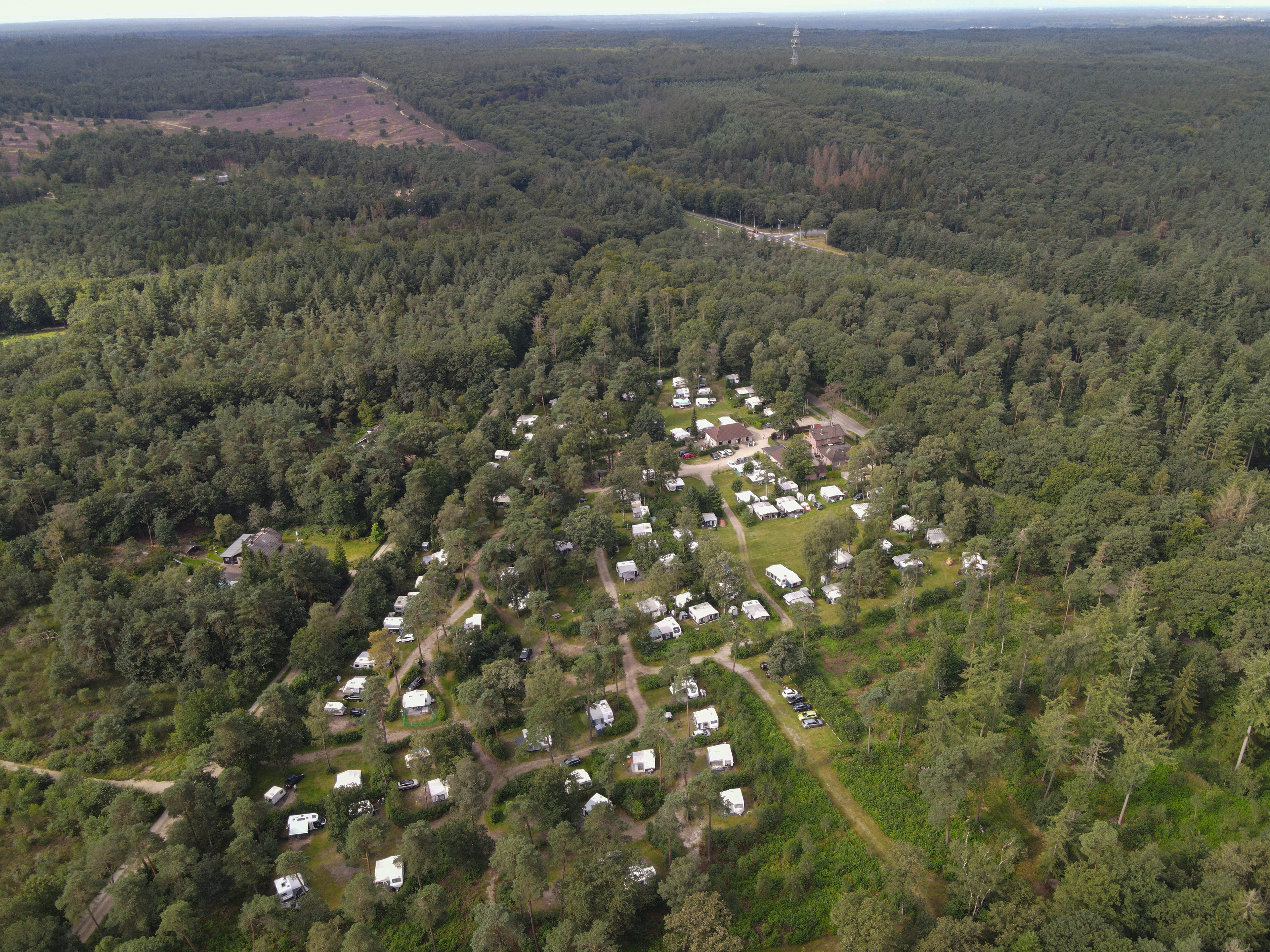 Camping de Wapenberg (NL)