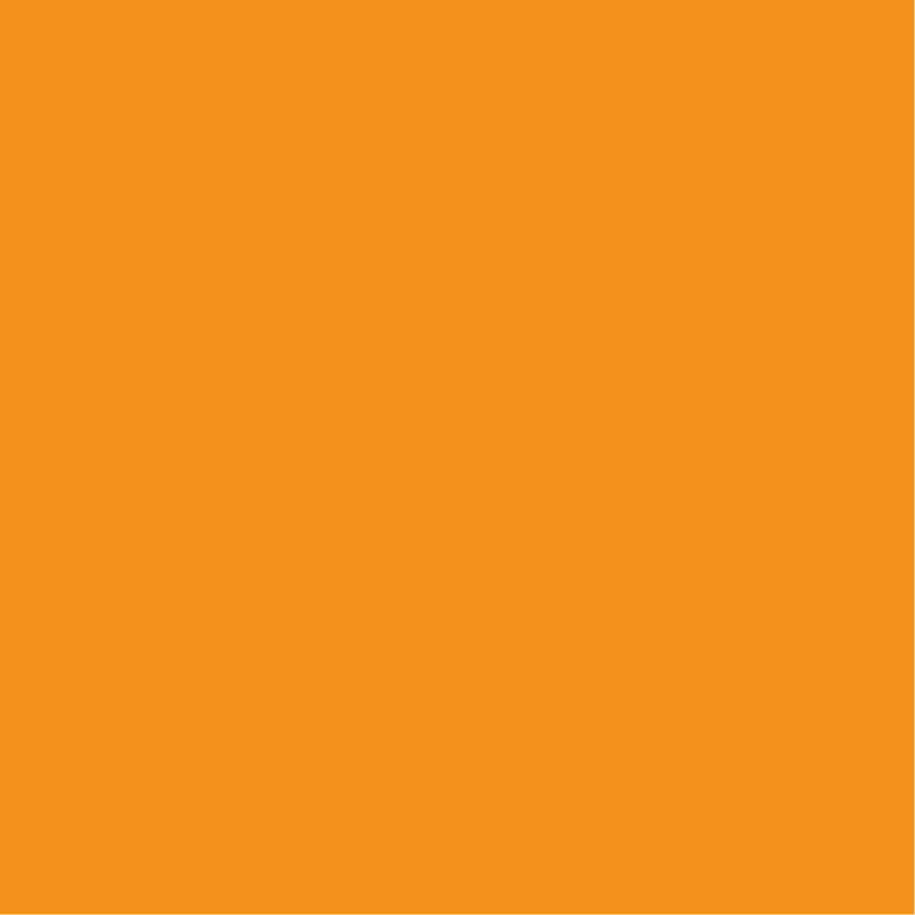 Yellowstone | #F2833D 0, 26, 75, 5