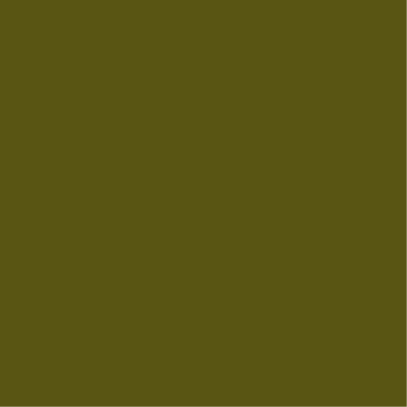 John Muir Green | #59551B 0, 4, 70, 65