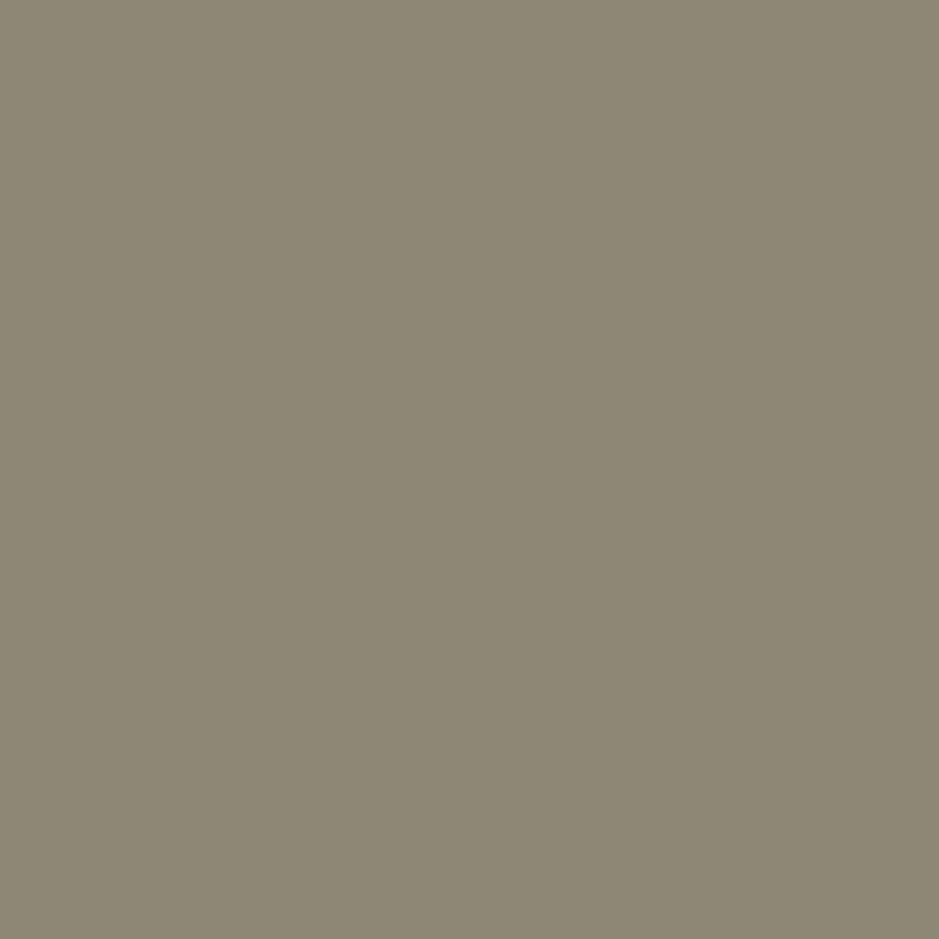 #8e8674 | 45, 40, 54, 8