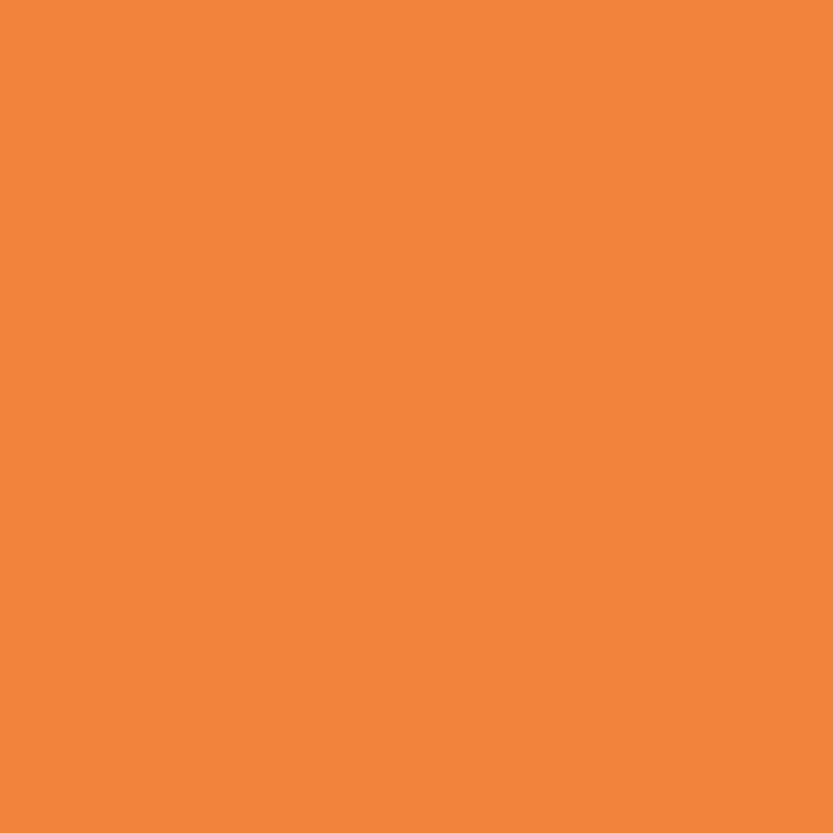 Zion | #F2911B 0, 40, 89, 5