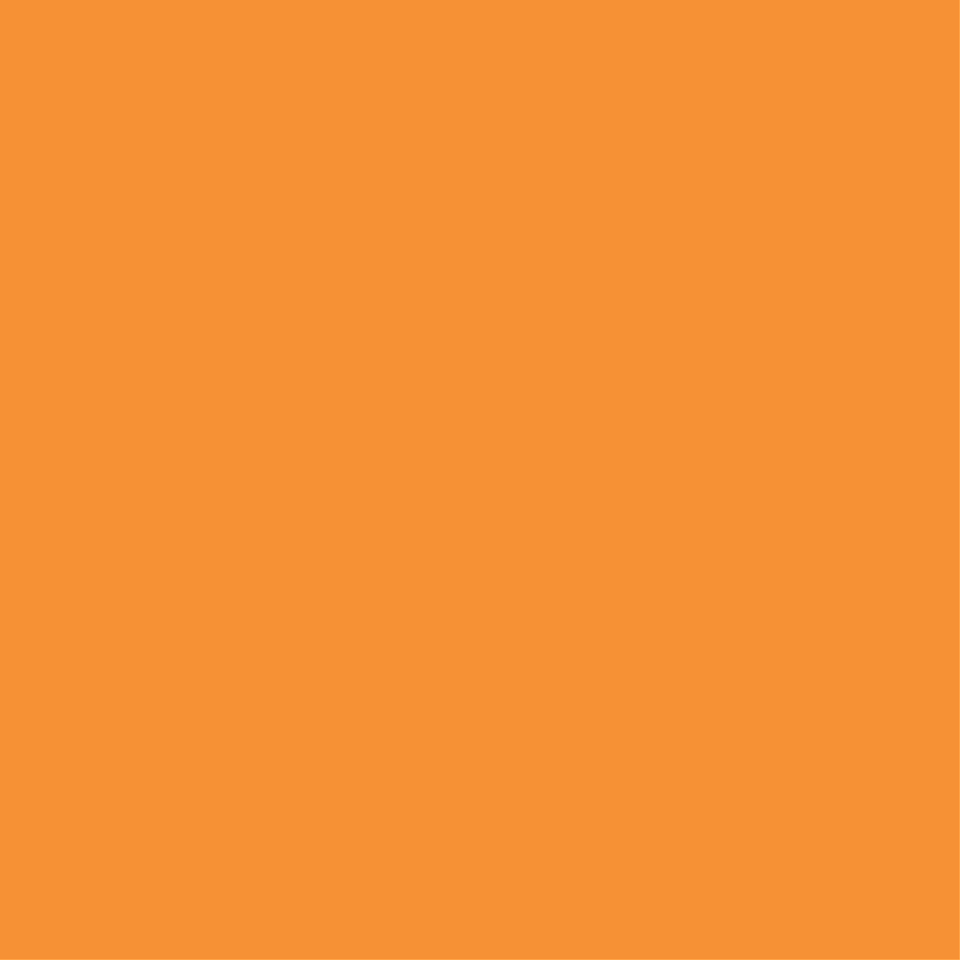 #f79136 | 0, 52, 89, 0