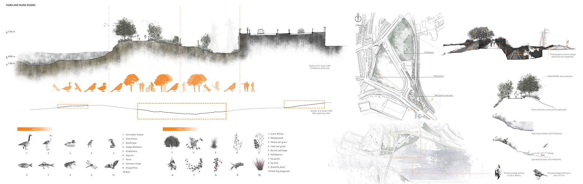 Flora and Fauna Analysis