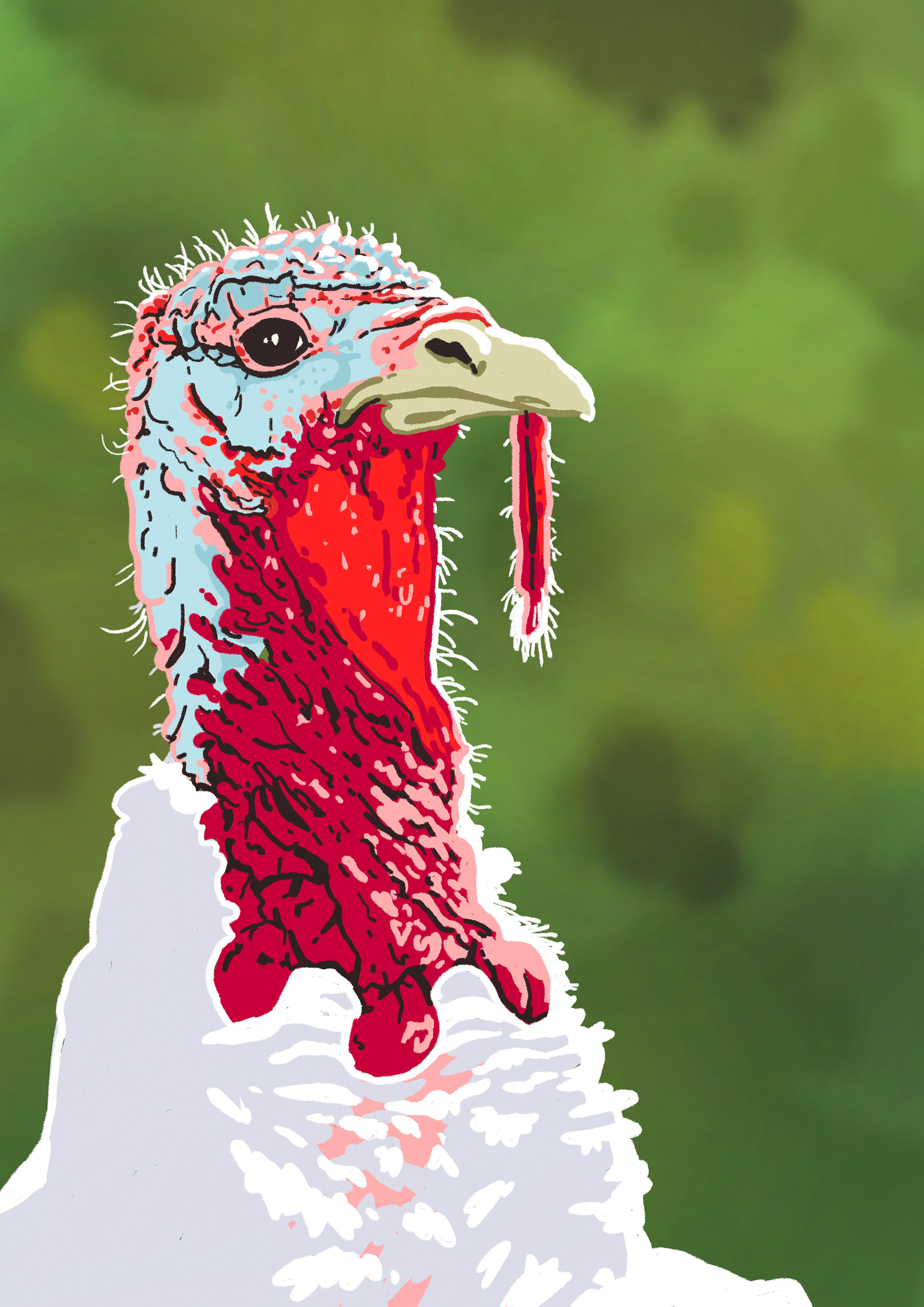 Turkey (2020)