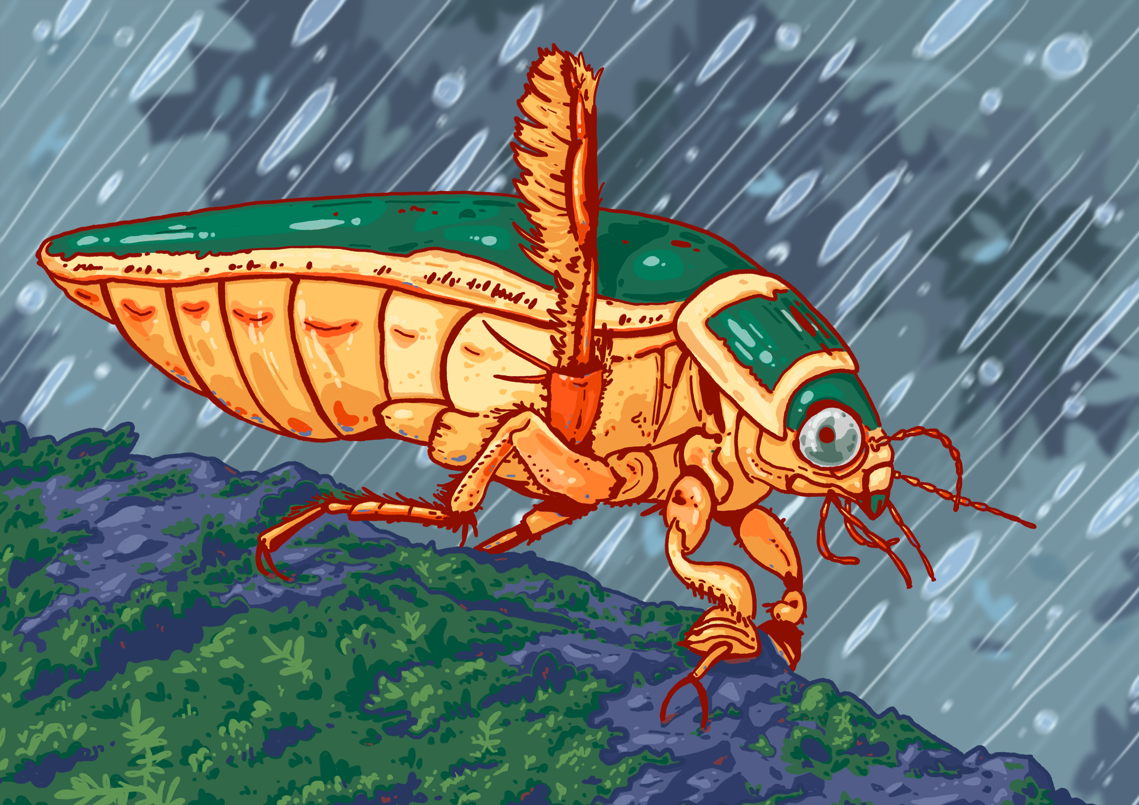 Great Diver Beetle (2021)