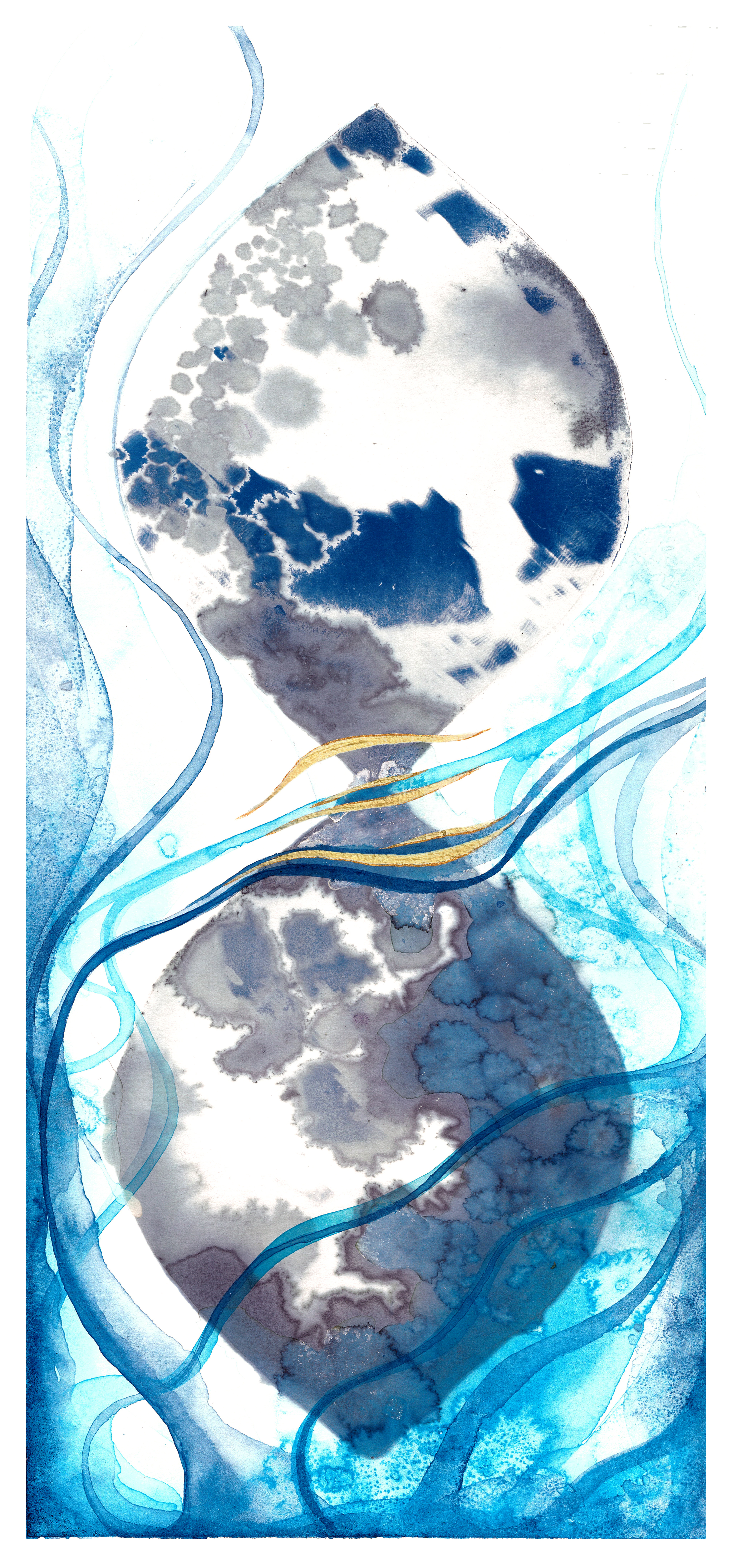 The Sea and the Sky