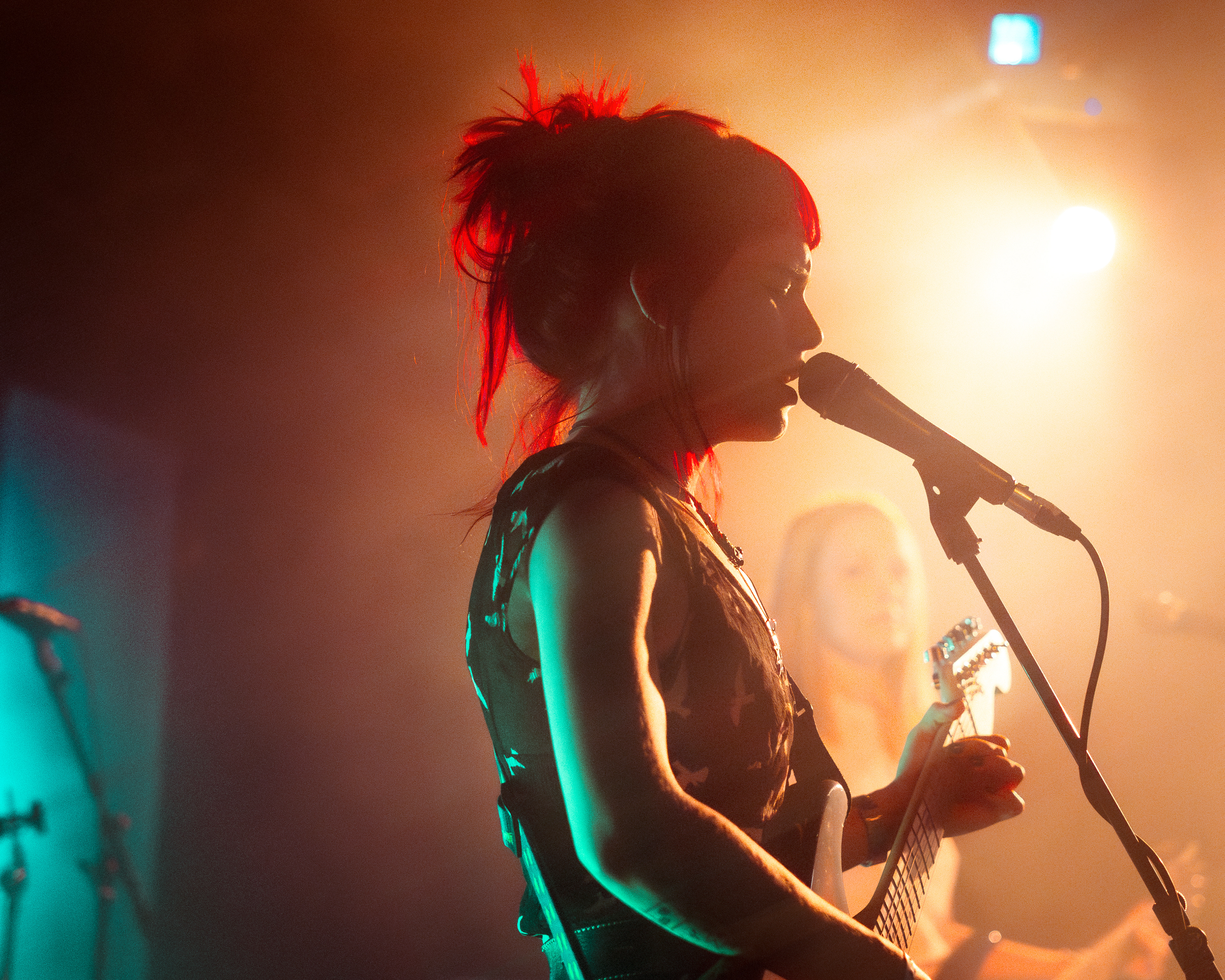 Birds of Prrrey | Le Ministère