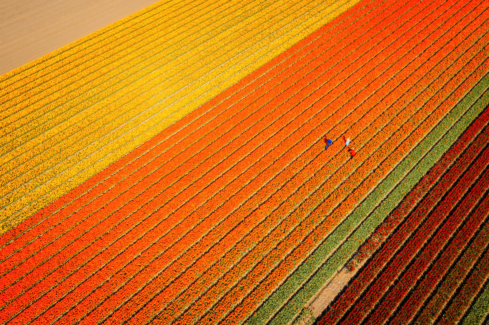 © Robbert Frank Hagens | Art in Media