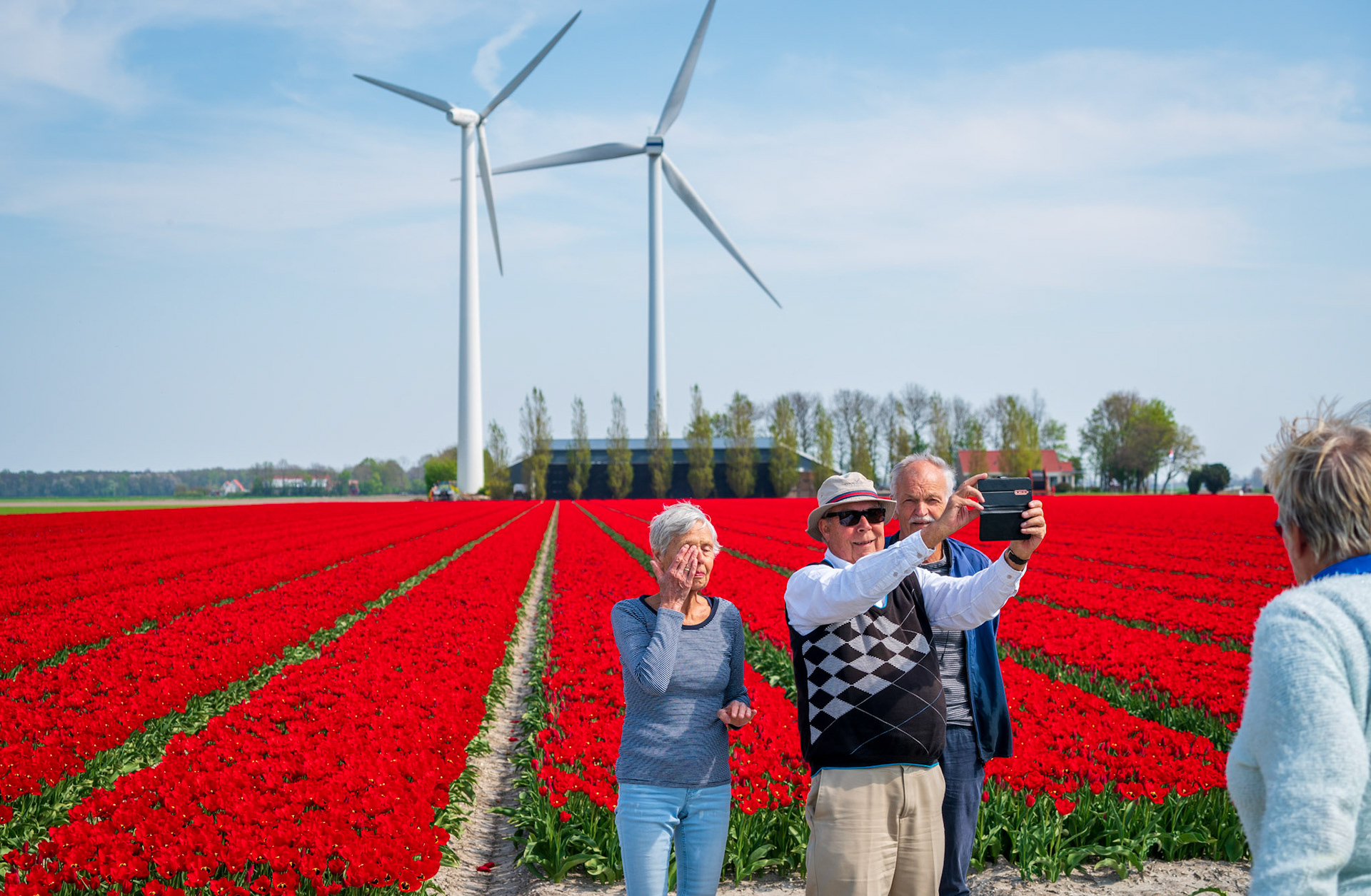 Day tourists for red tulip field