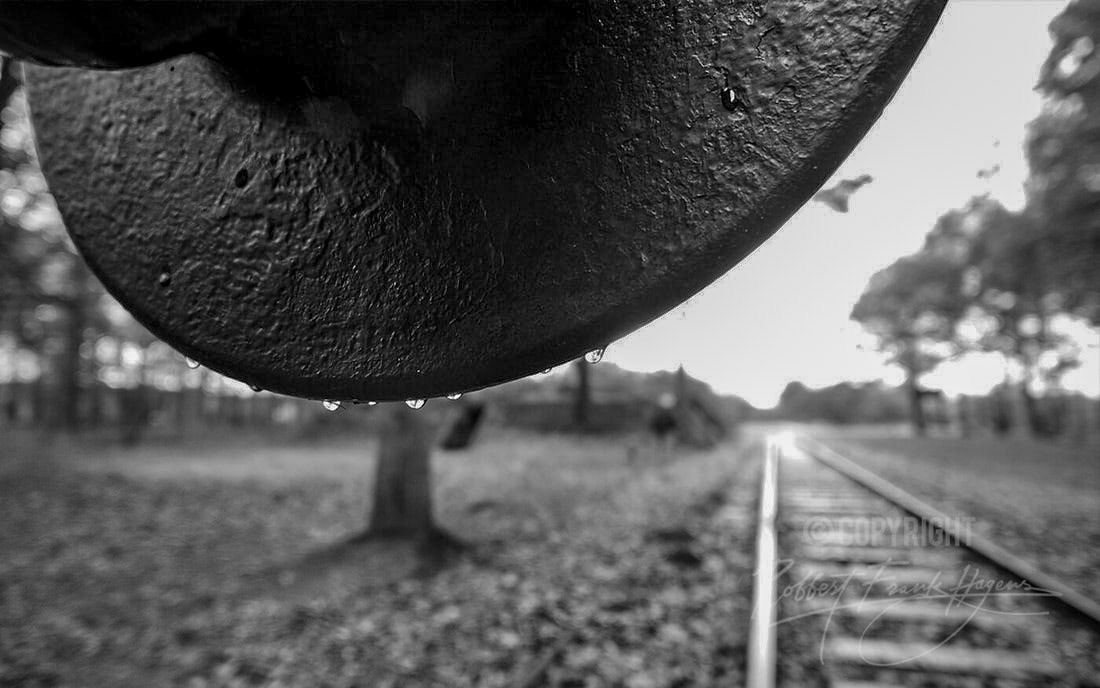 © Robbert Frank Hagens | Art in Media