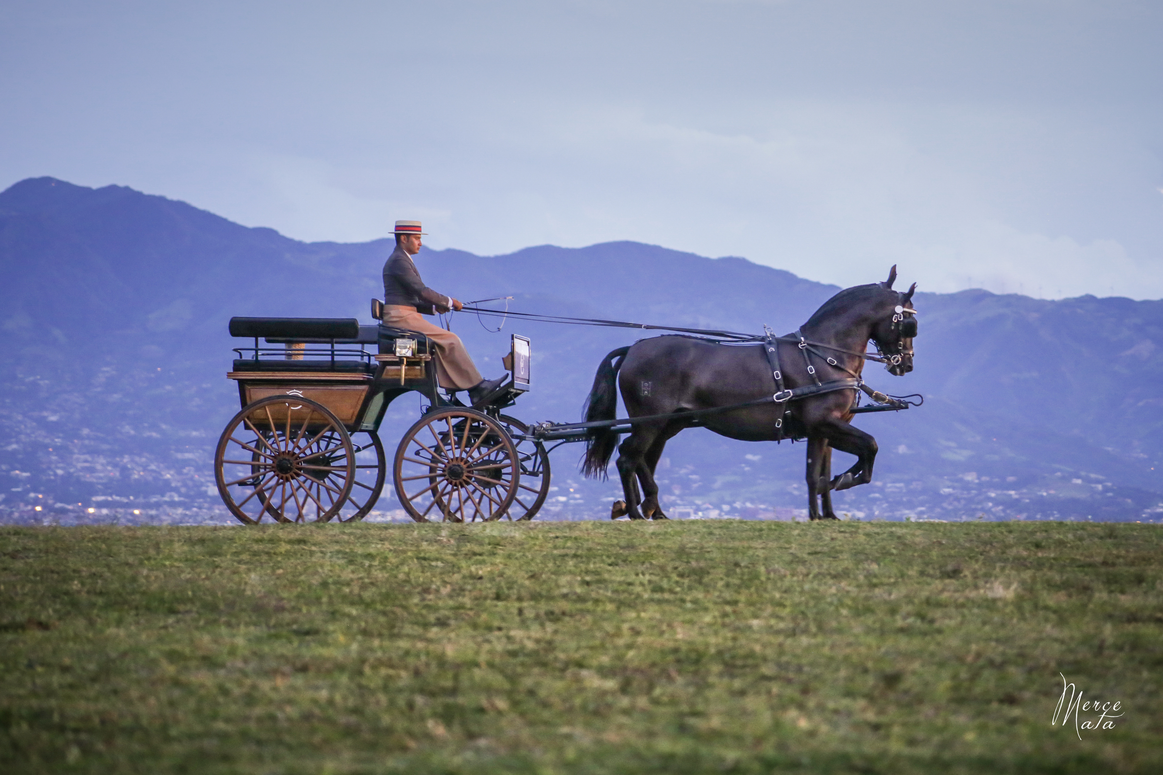 Elegante enganche... en San José de la Montaña