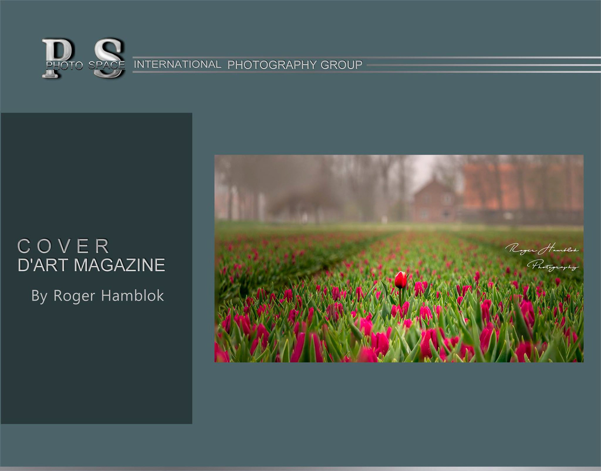 Cover van de Facebookgroep D'ART MAGAZINE