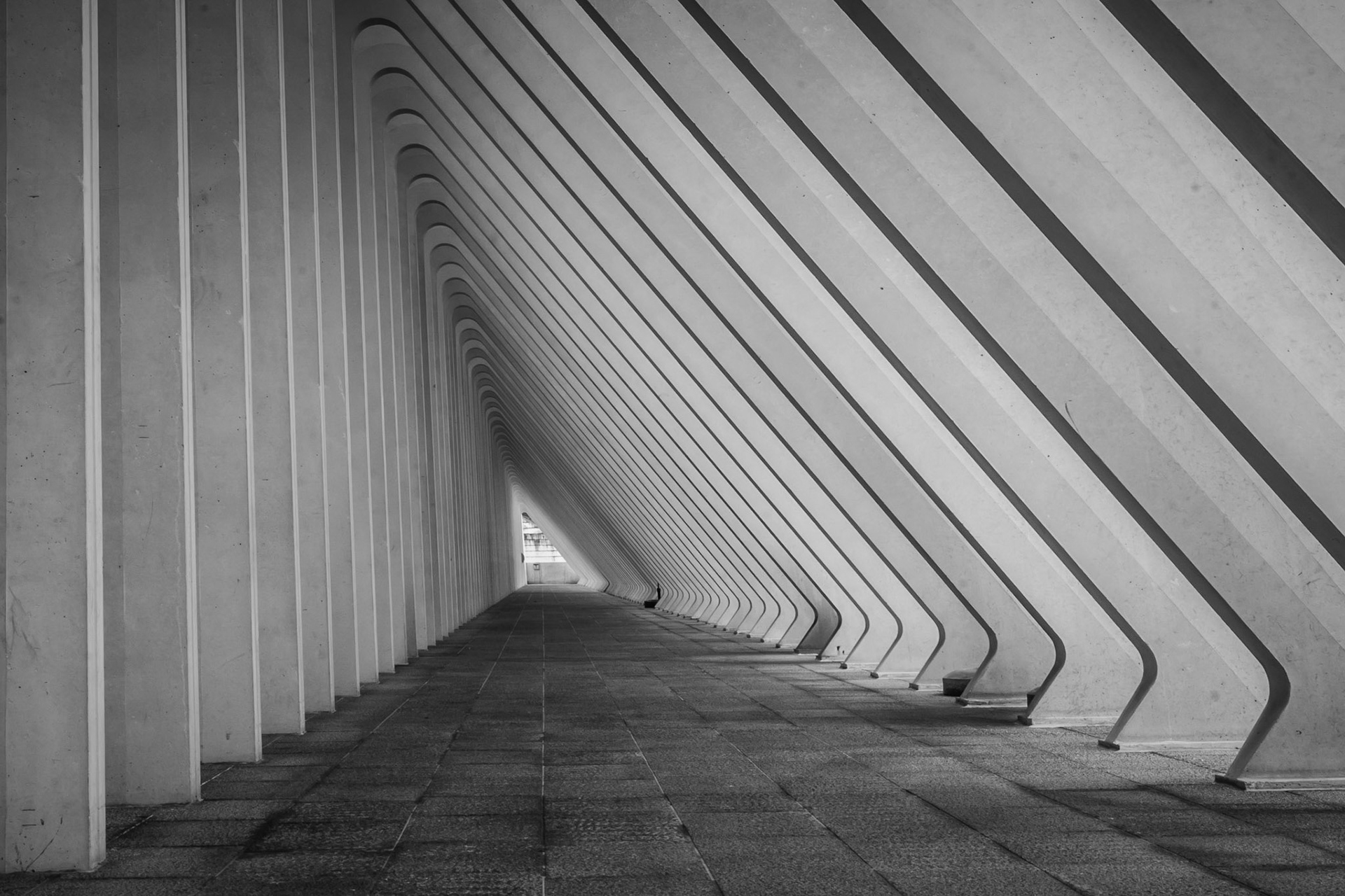 Luik Guillemins station