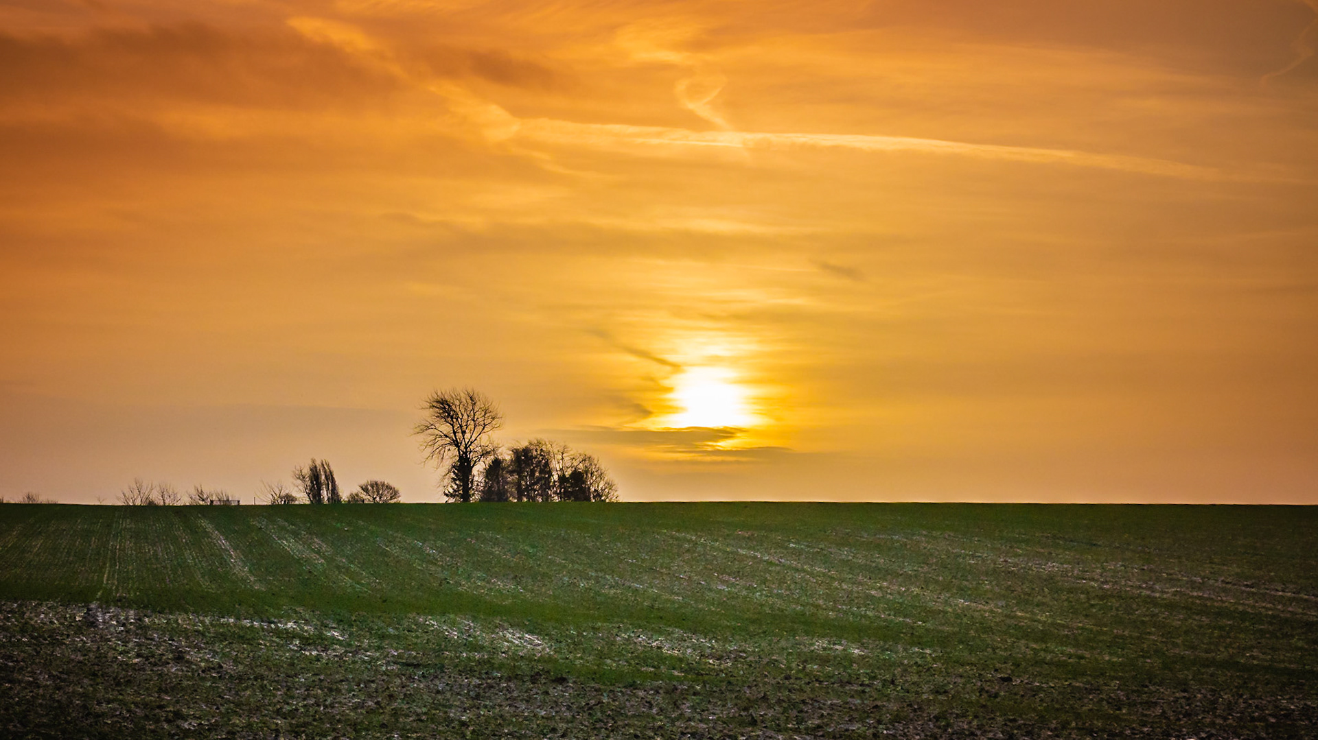 Zonsopgang in Gingelom